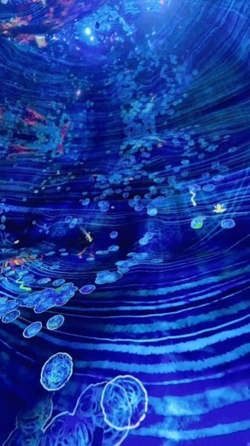 Epson Japan TeamLab Exhibition in Dubai UAE as part of New Year 2026