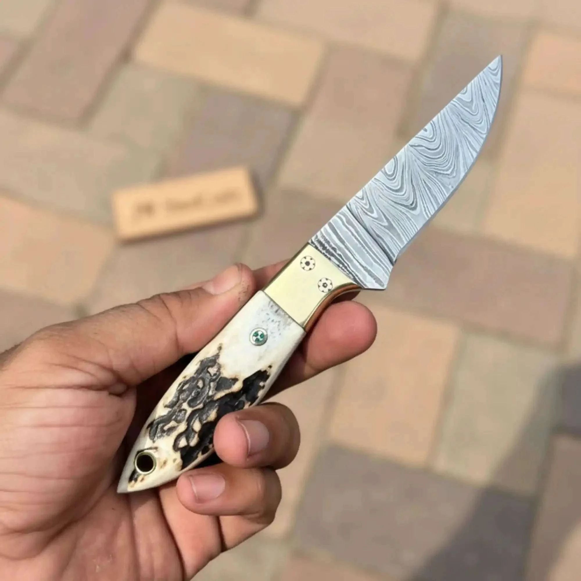 Palmarius Outdoors Handmade Damascus Drop Point EDC Knife Fixed Blade Stag Handle Brass Bolster