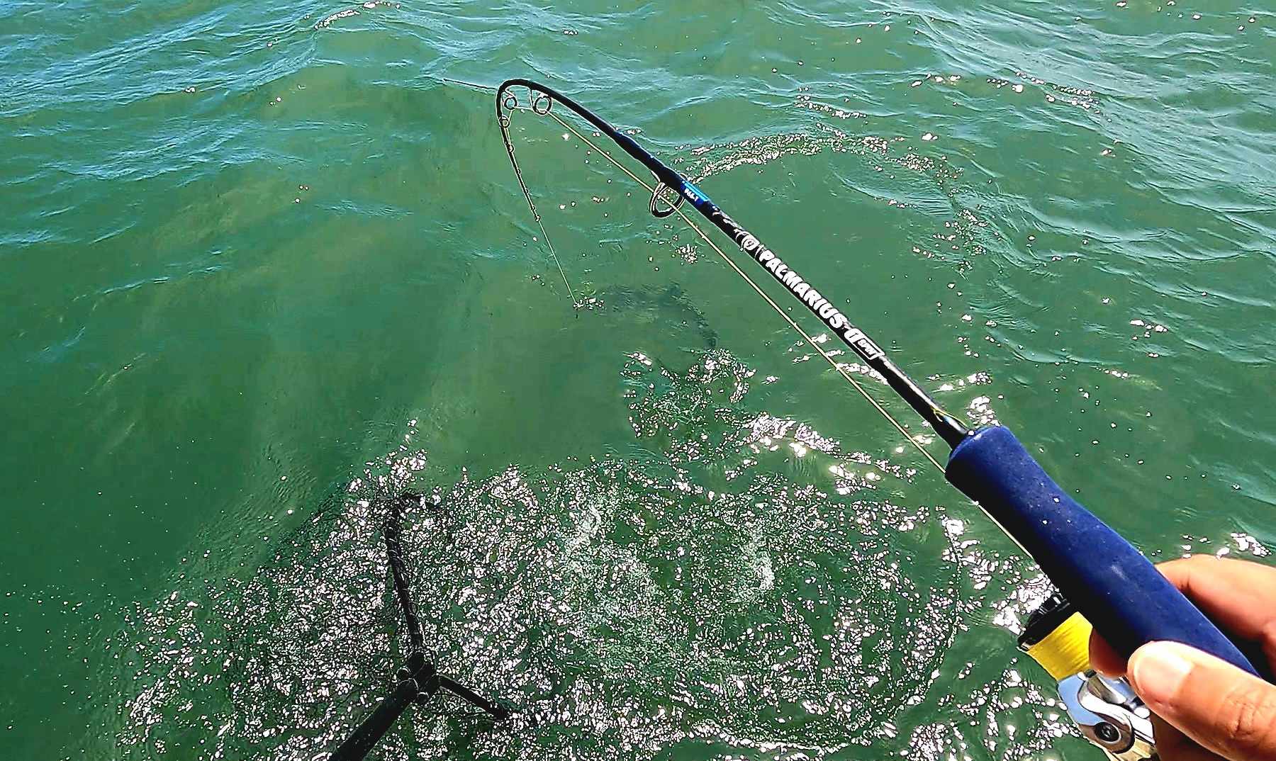 Palmarius 2025 P+ Blue EVA Gen II Slow Pitch Jigging Rods