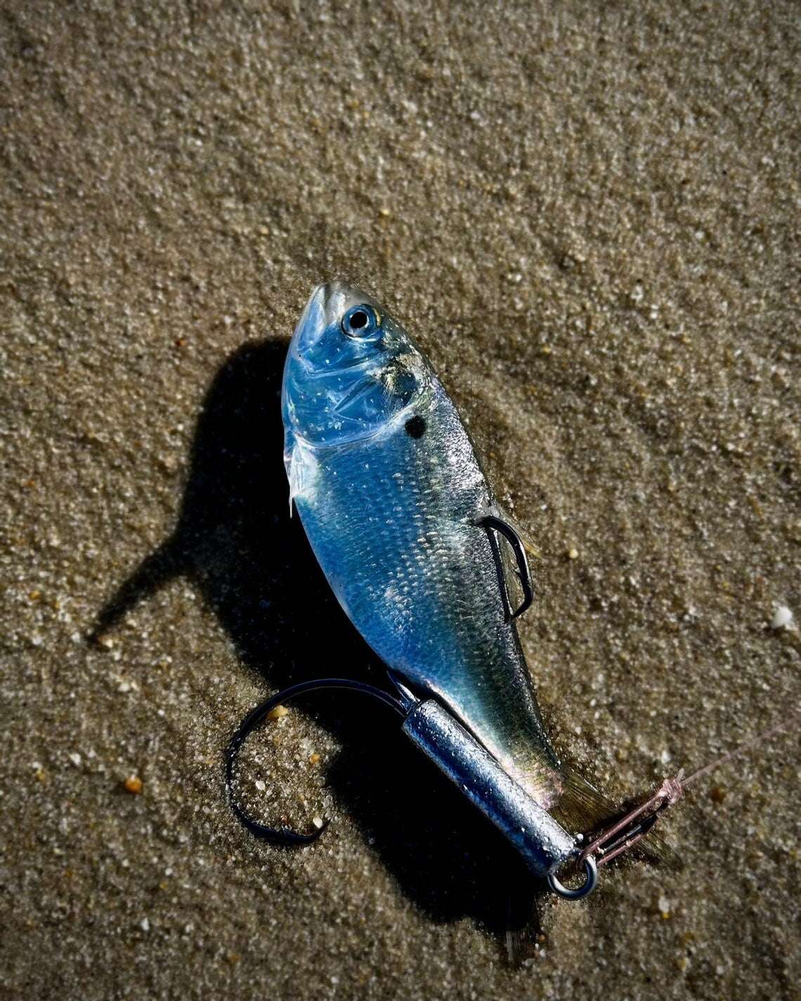 Palmarius Outdoors Circle Hook Snag Jig