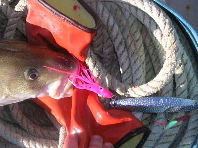 CM Flat Hammered Diamond Jigs