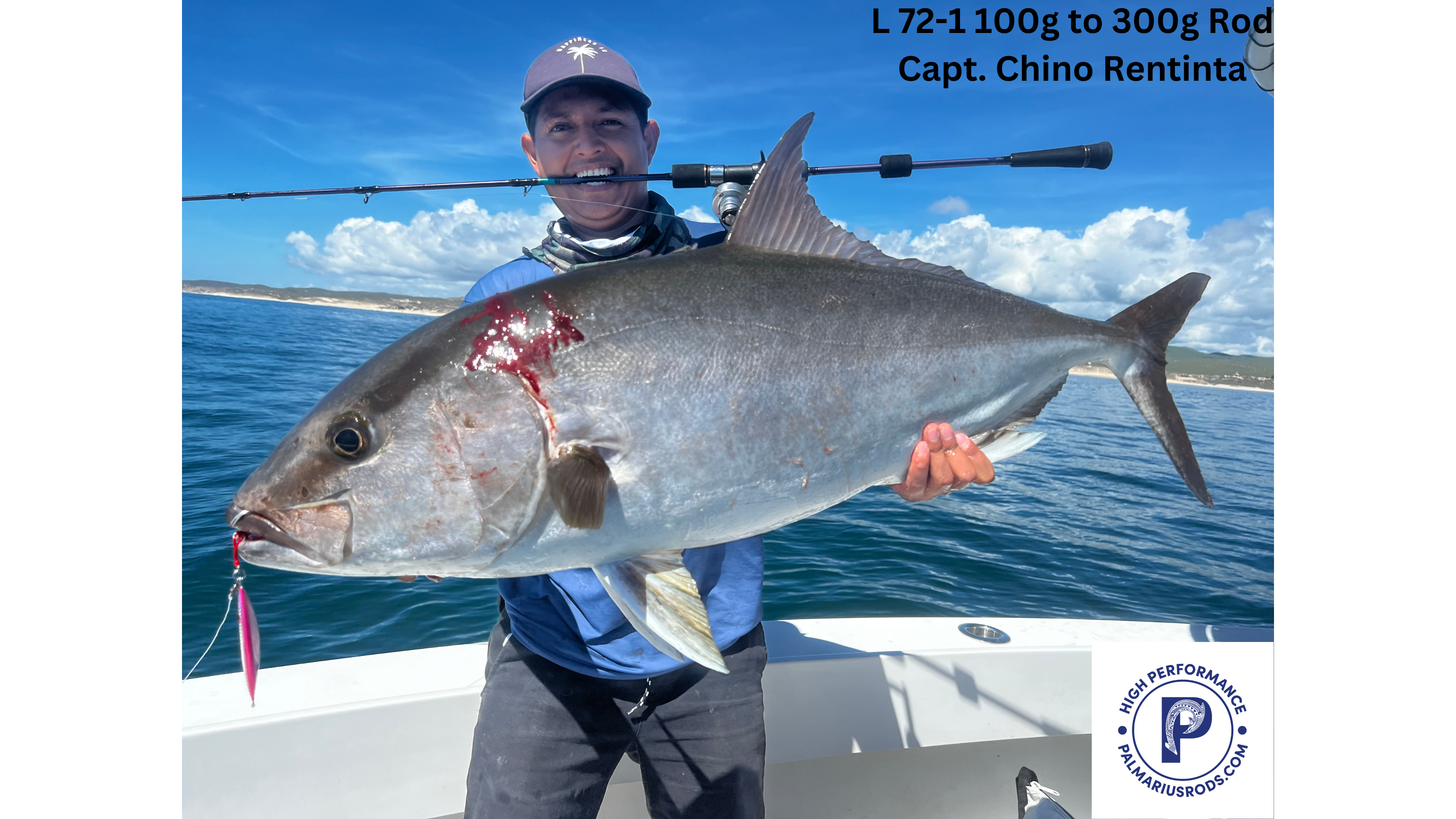 Cañas Jigging Palmarius Serie L de caída lenta/larga