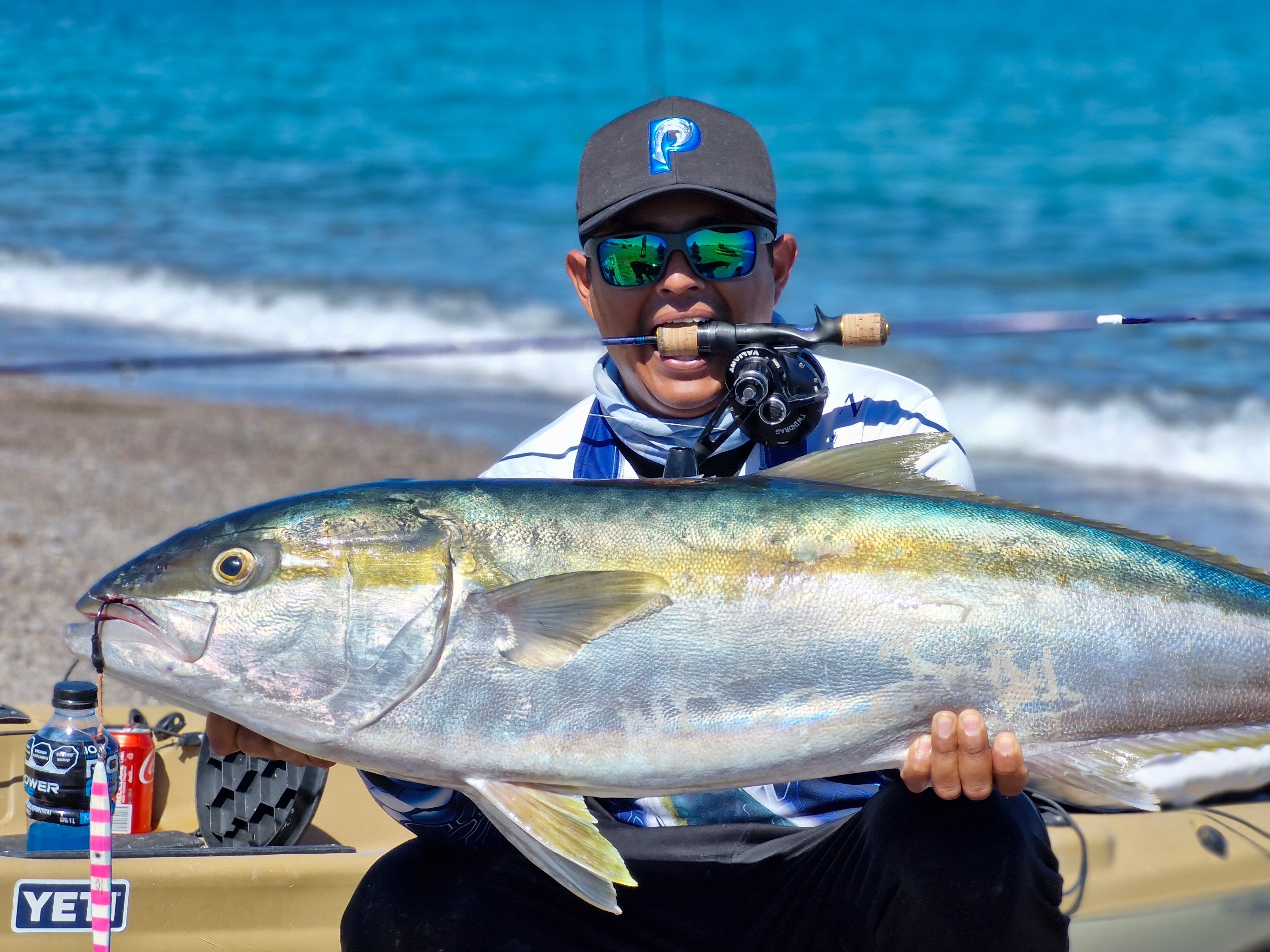 WAKIZASHI "Short Sword" Titanium Guide Solid Toray Carbon Fiber SPJ Rods