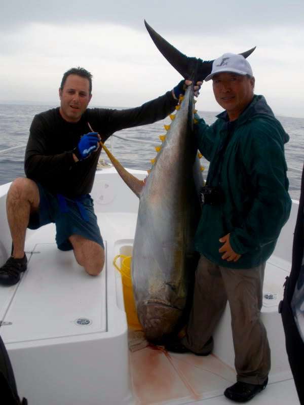 Palmarius Outdoors G2 Tuna Jig