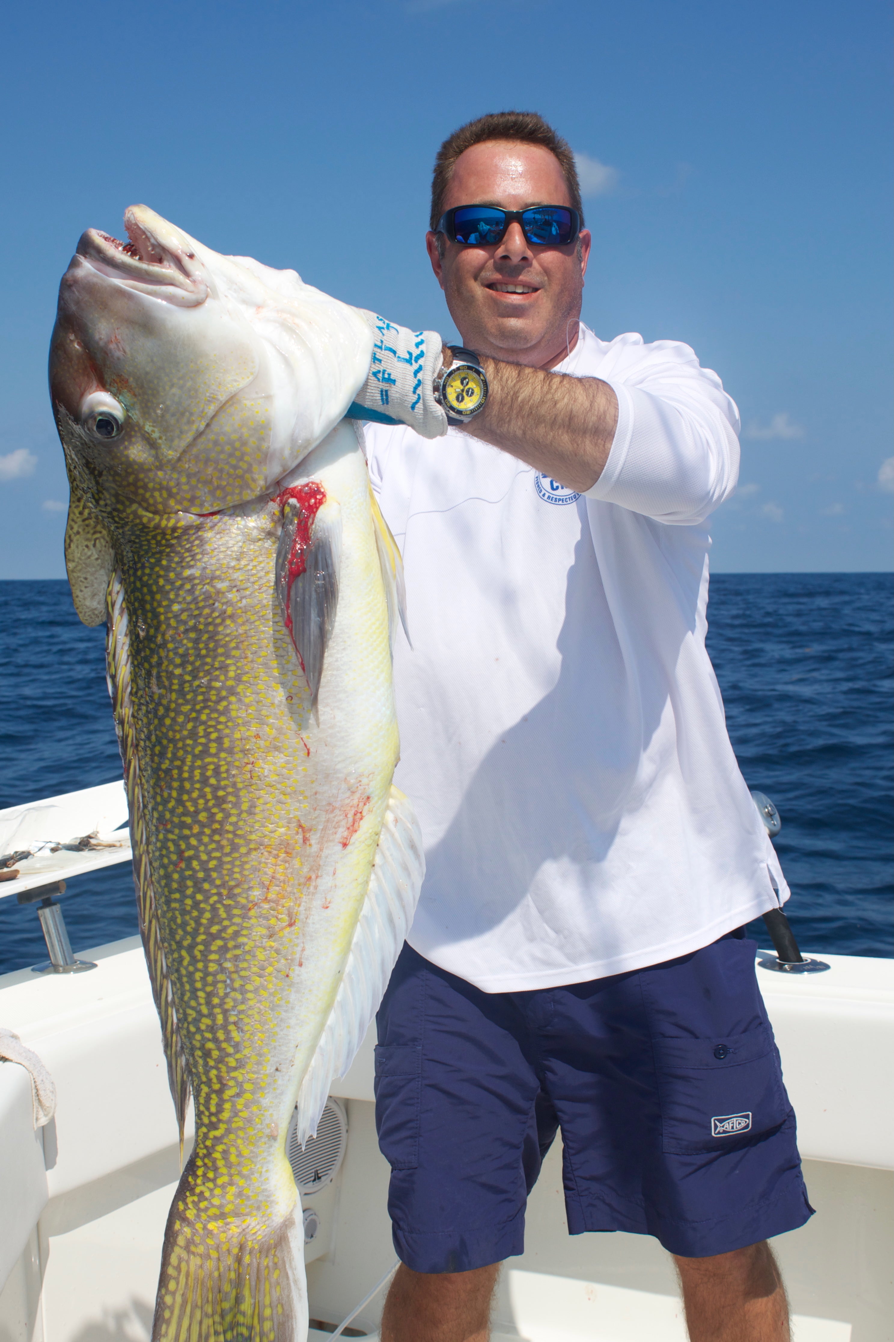 Daiwa Tanacom S500J Tilefish Bundle | Palmarius Outdoor Products