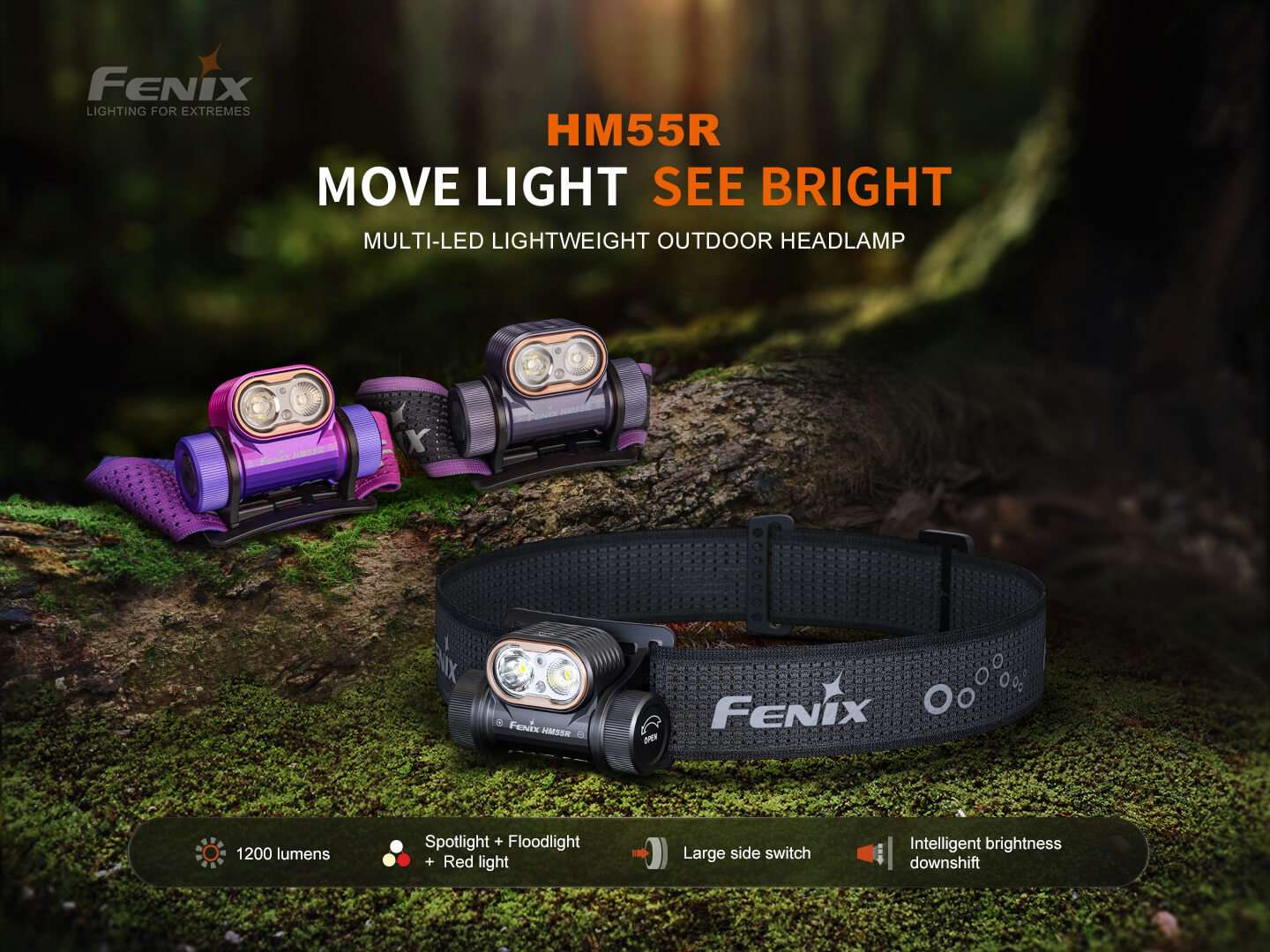 Palmarius Outdoors Fenix HM55R Lightweight Multi-LED Headlamp Headlamp