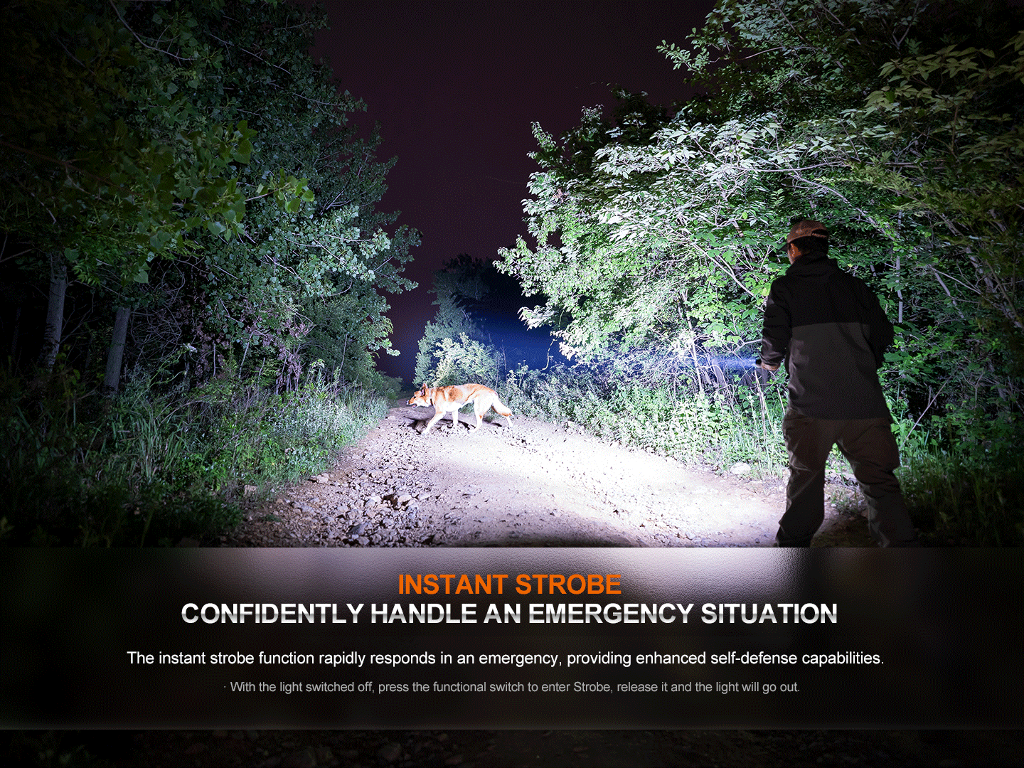 Palmarius Outdoors Fenix HT32 Hunting Flashlight with Red & Green Output Hunting Flashlight