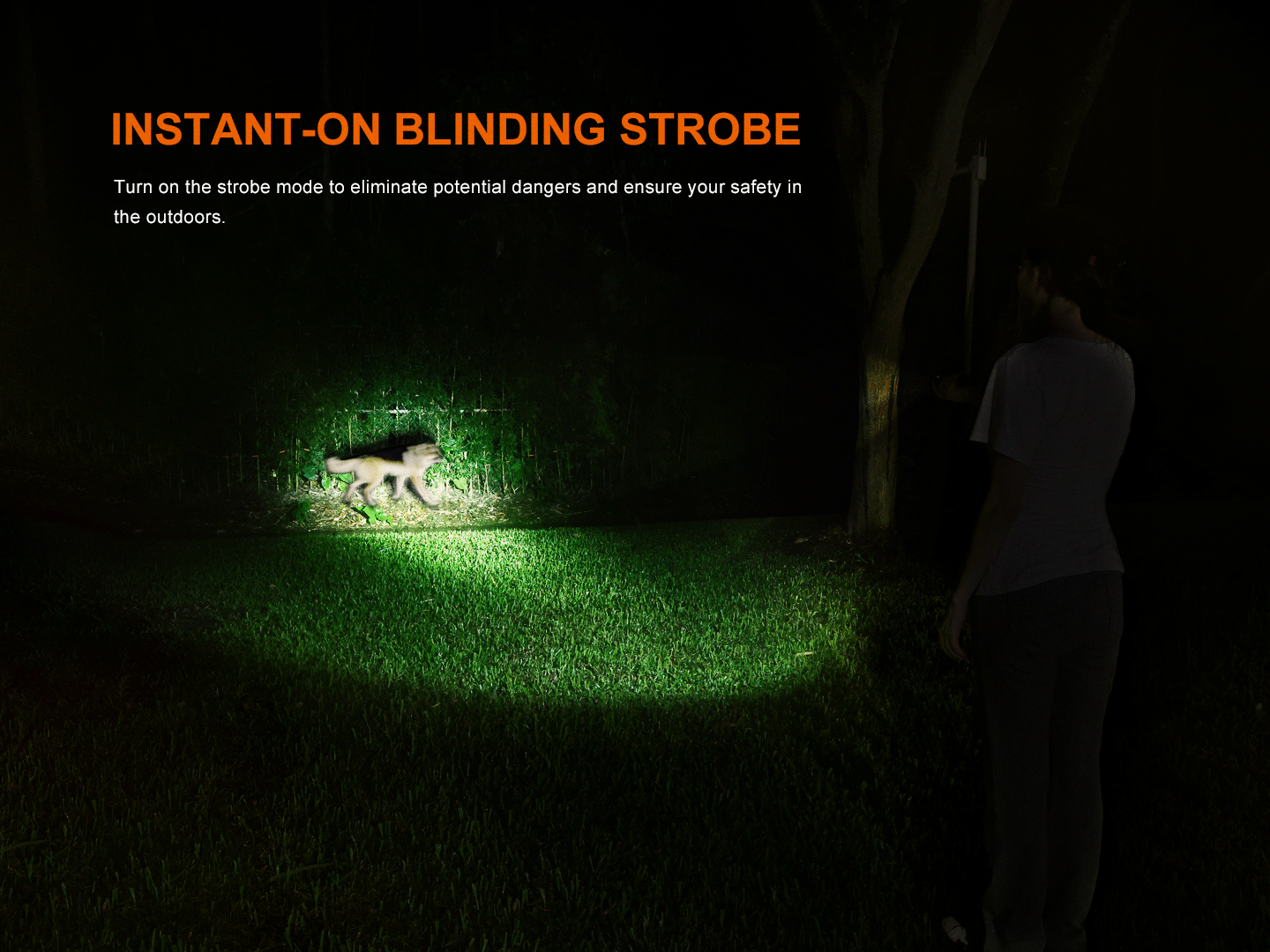 Palmarius Outdoors Fenix LD35R High Performance Multimode Tactical Flashlight EDC Flashlight