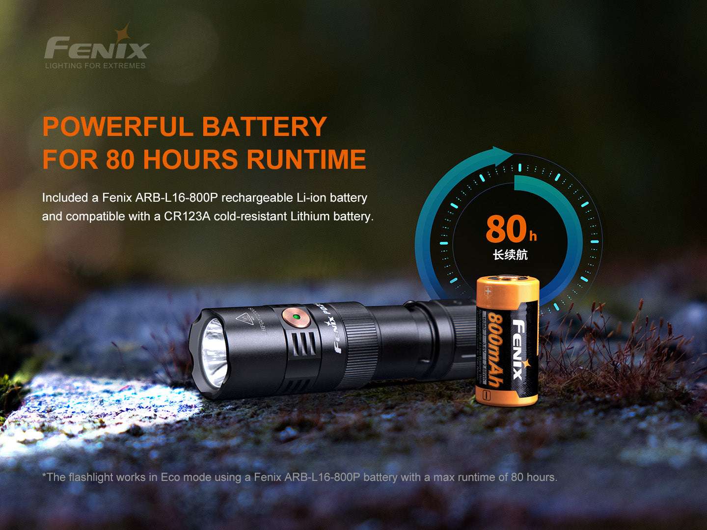 Palmarius Outdoors Fenix PD25R Rechargeable LED Flashlight EDC Flashlight