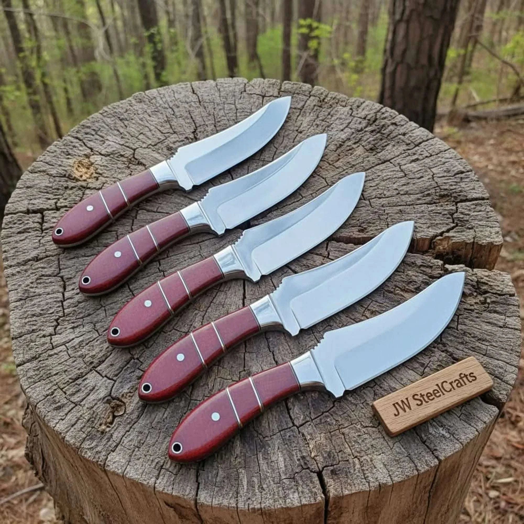 Palmarius Outdoors Handmade Drop Point Hunting Knife Set of 5-Piece Full Tang Blades with Red Resin Handles