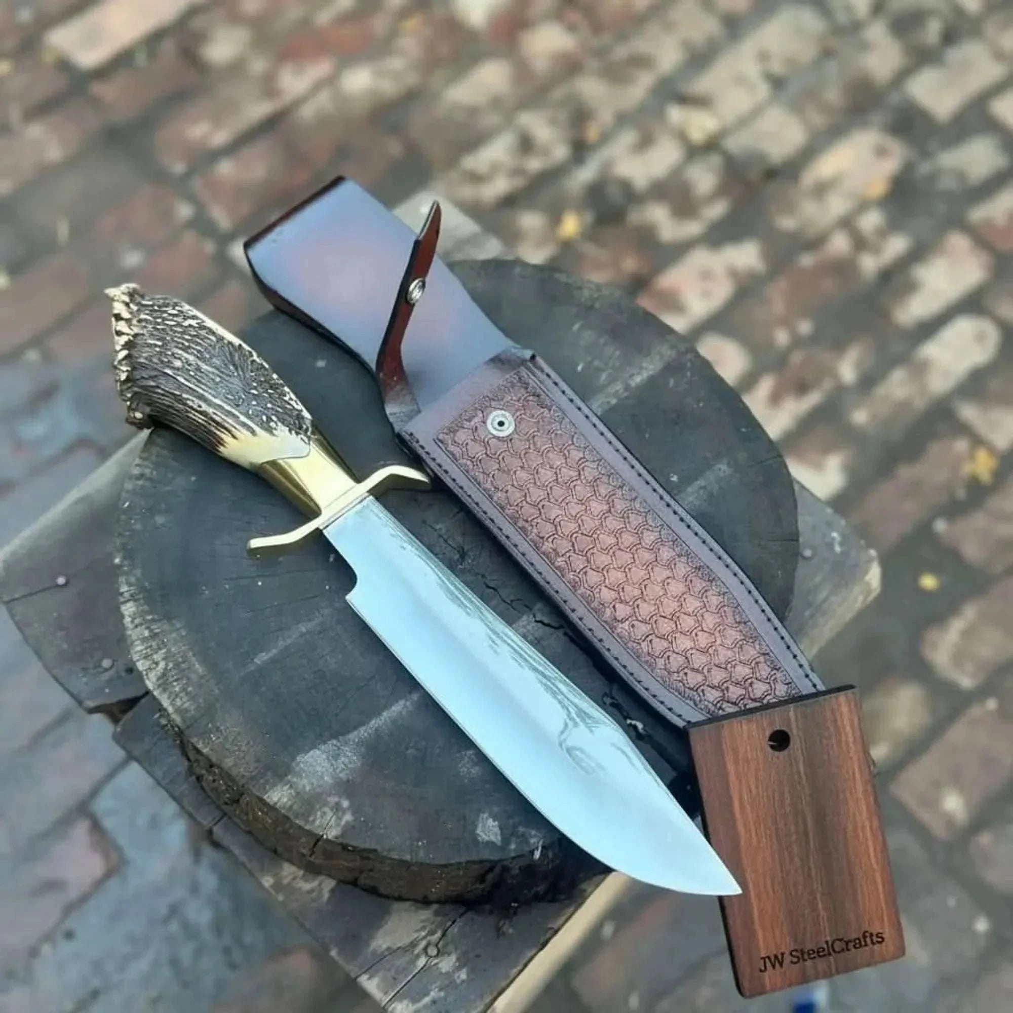 Palmarius Outdoors Handmade Carbon Steel Hunting Knife with Stag Horn Handle & Leather Sheath