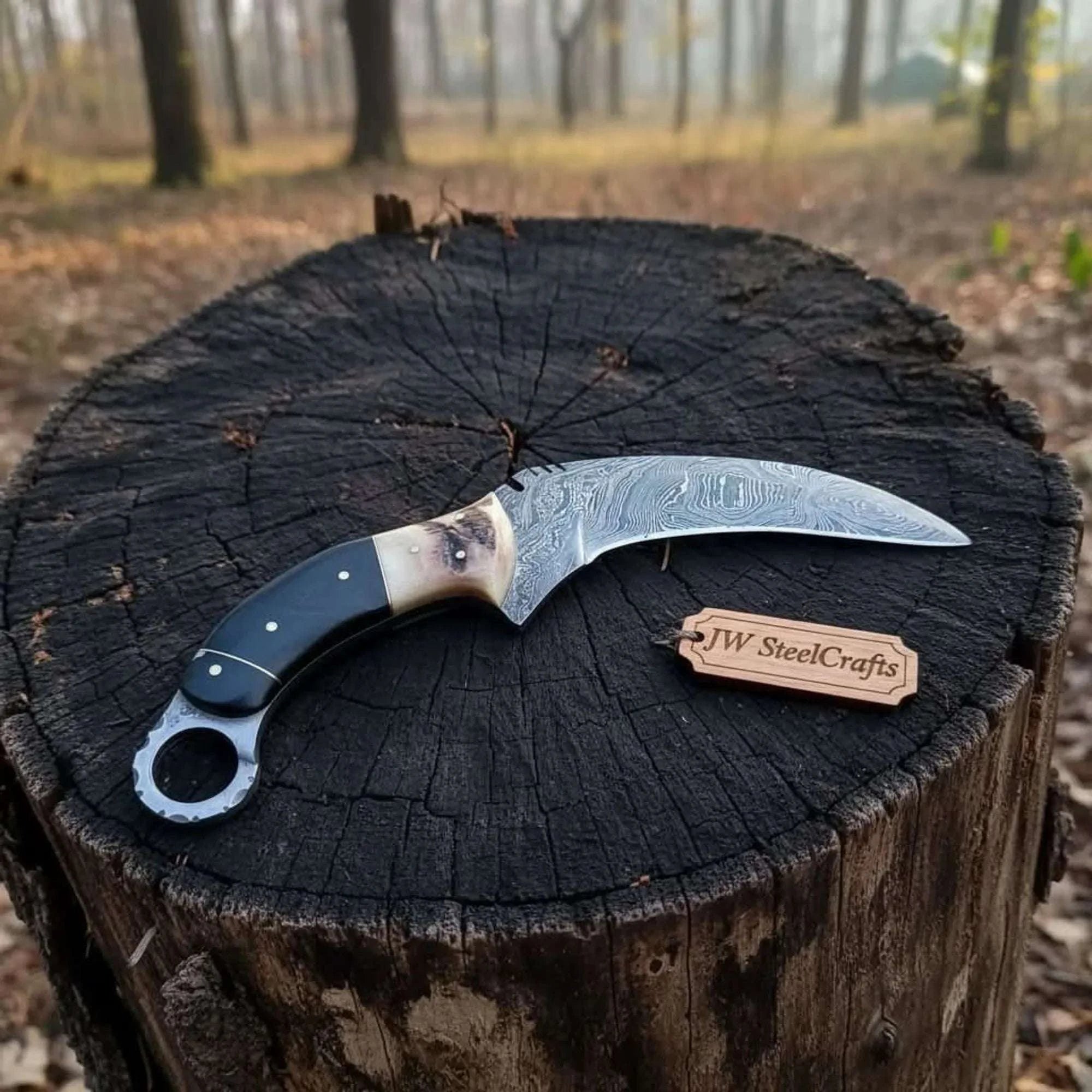 Palmarius Outdoors Handmade Damascus Karambit Knife with Horn Handle and Finger Ring karambit knife