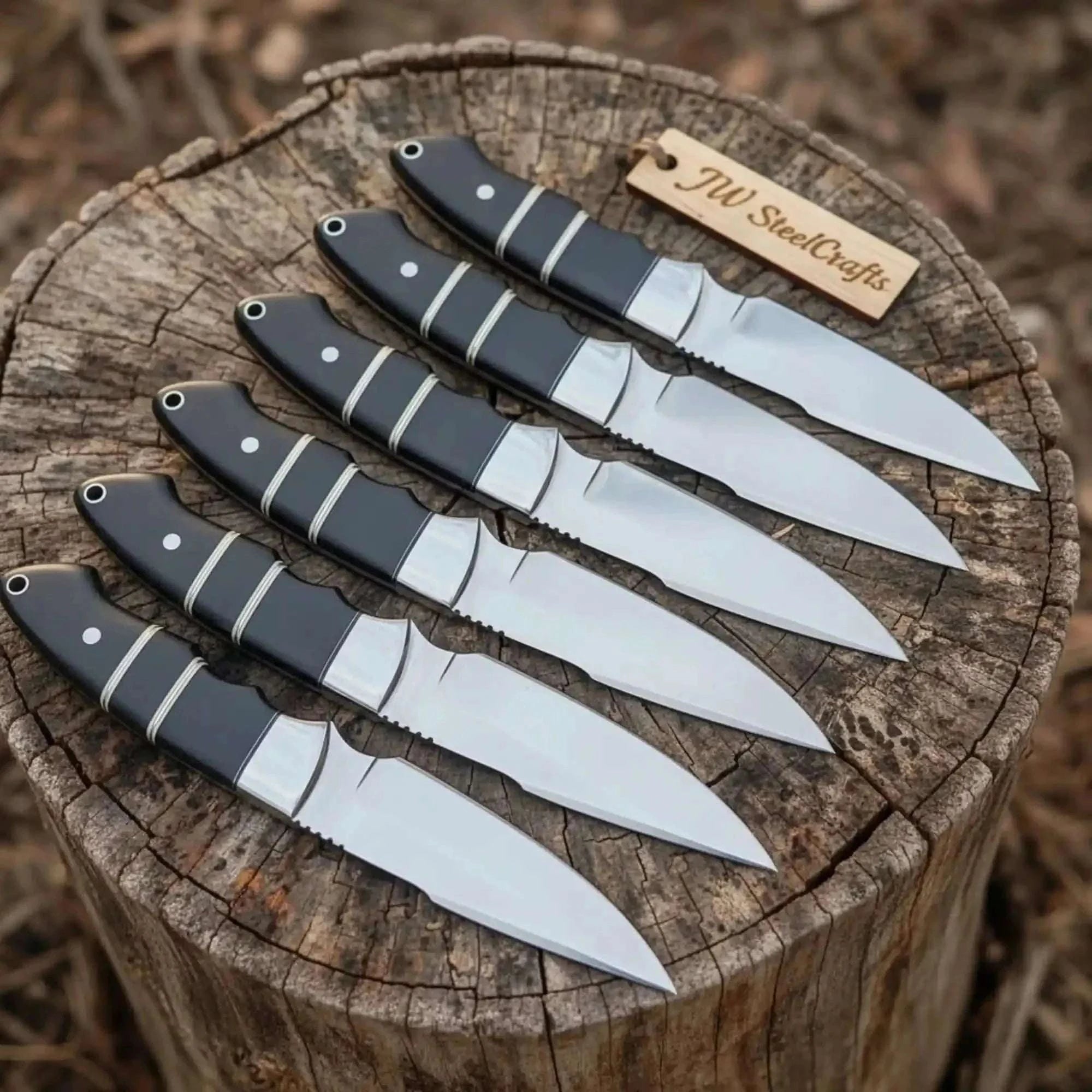 Palmarius Outdoors Handmade Full Tang Blades Hunting Knife Set 6-Piece High Carbon Blades with Black Resin Handles