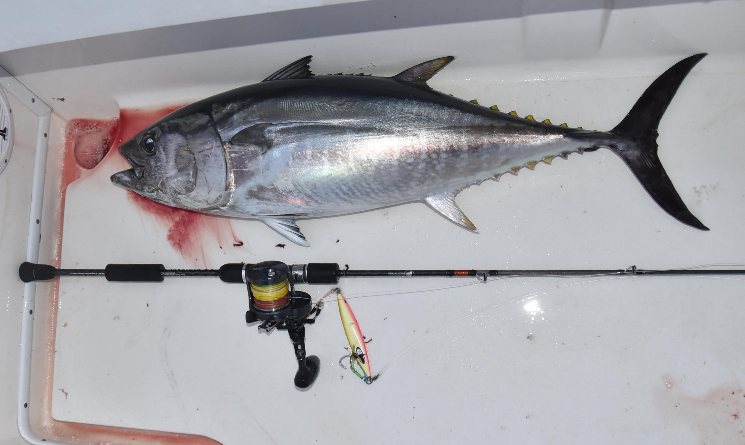 Yari 槍 Sand eel Tuna Jig