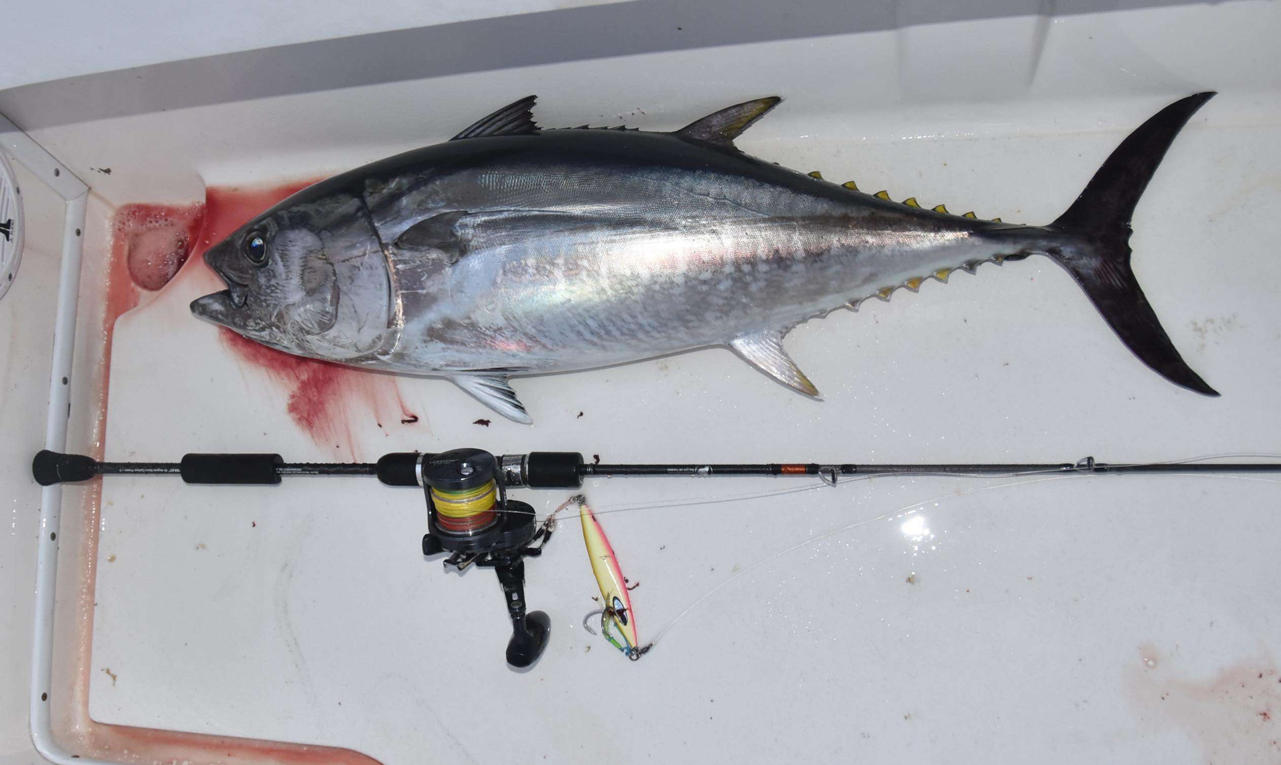 Palmarius Outdoors G2 Tuna Jig