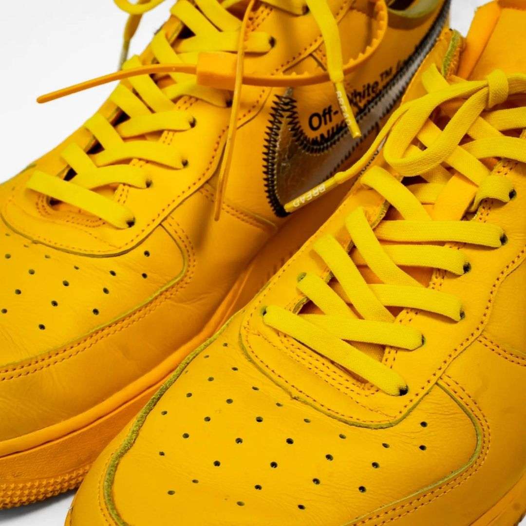 Palmarius Outdoors Corona Yellow Elastic Shoelace