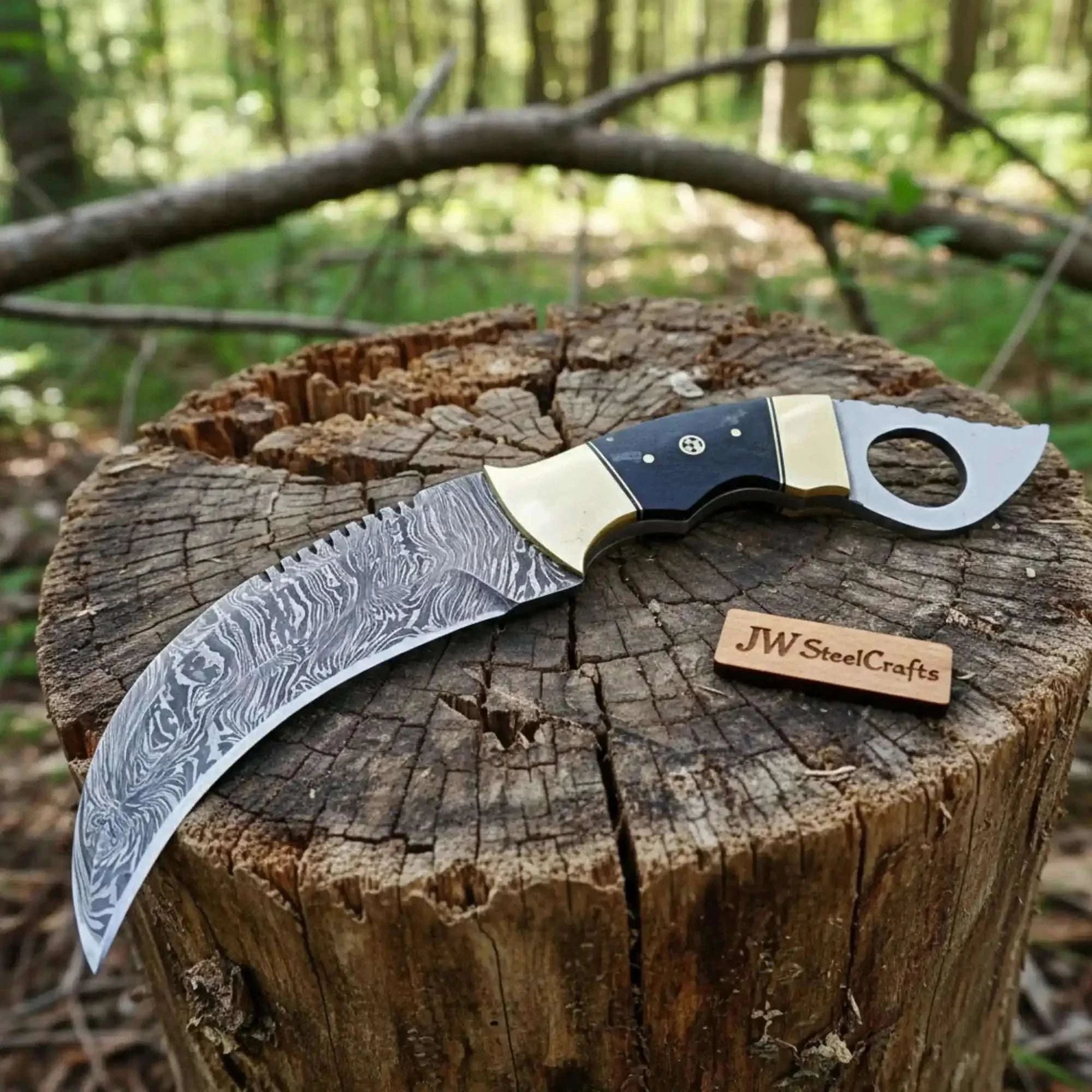 Palmarius Outdoors Damascus Steel Karambit 5 Inch Curved Blade Durable Full Tang Design Karambit Knife