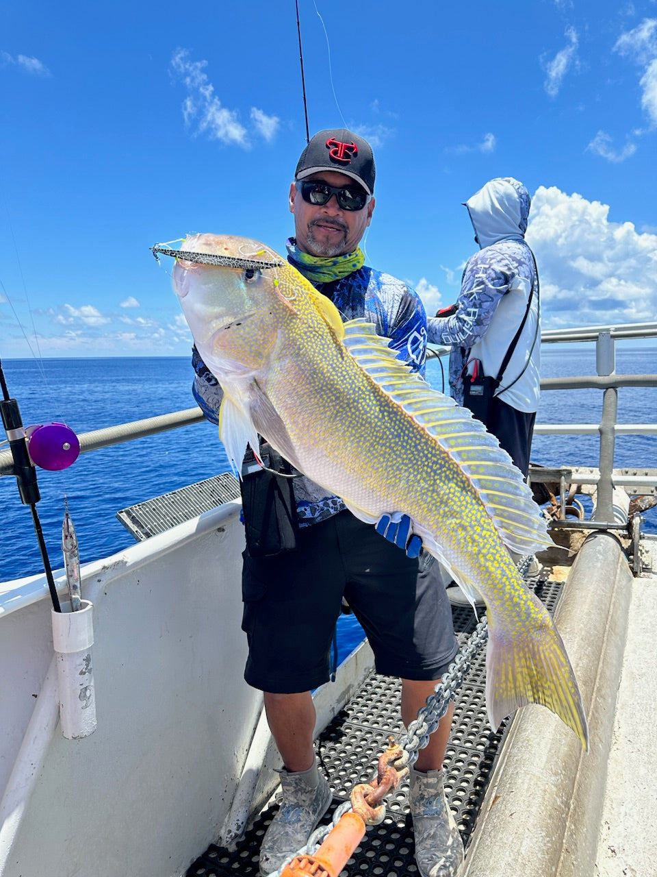 Palmarius Rods
