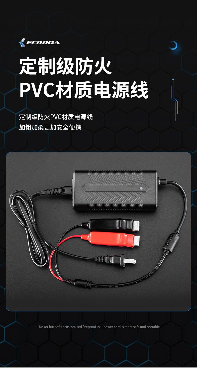 Ecooda Additional 120V USA Charger