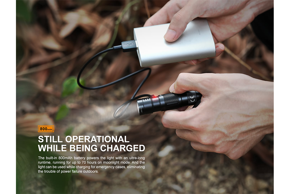 Palmarius Outdoors Fenix E09R Rechargeable High-Output Flashlight - 600 Lumens Keychain Flashlight