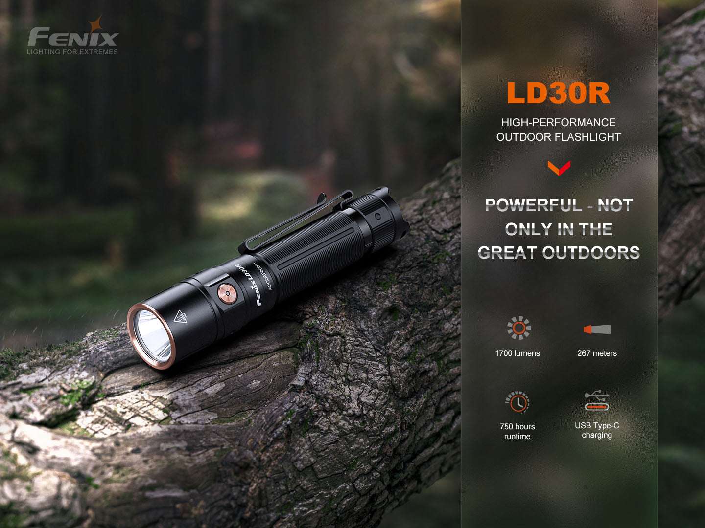 Palmarius Outdoors Fenix LD30R High-Performance Lightweight Flashlight EDC Flashlight