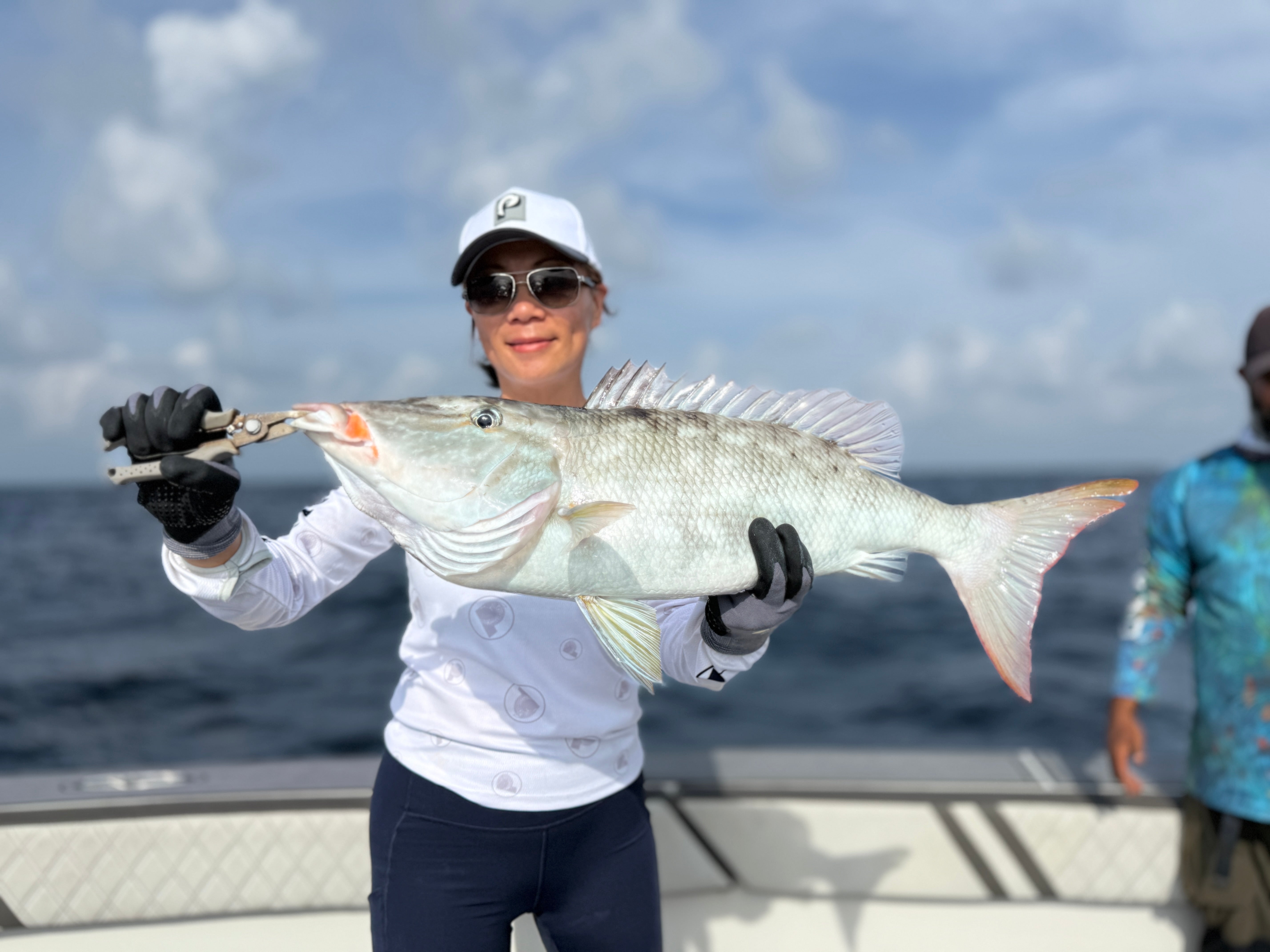 Palmarius Mesh Lid Cap (Quick Dry Material - velcro closure Ponytail friendly)