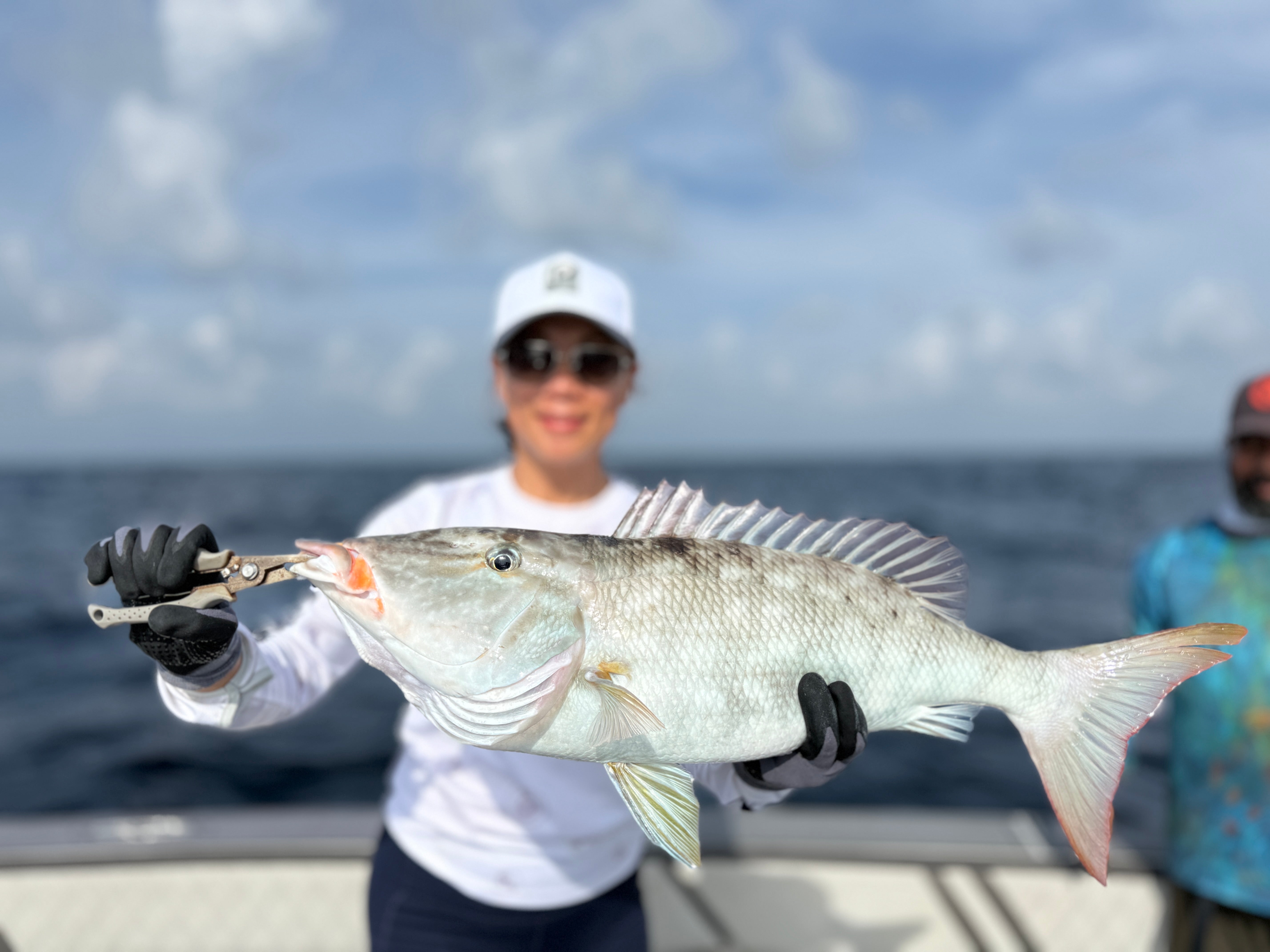 Palmarius Mesh Lid Cap (Quick Dry Material - velcro closure Ponytail friendly)