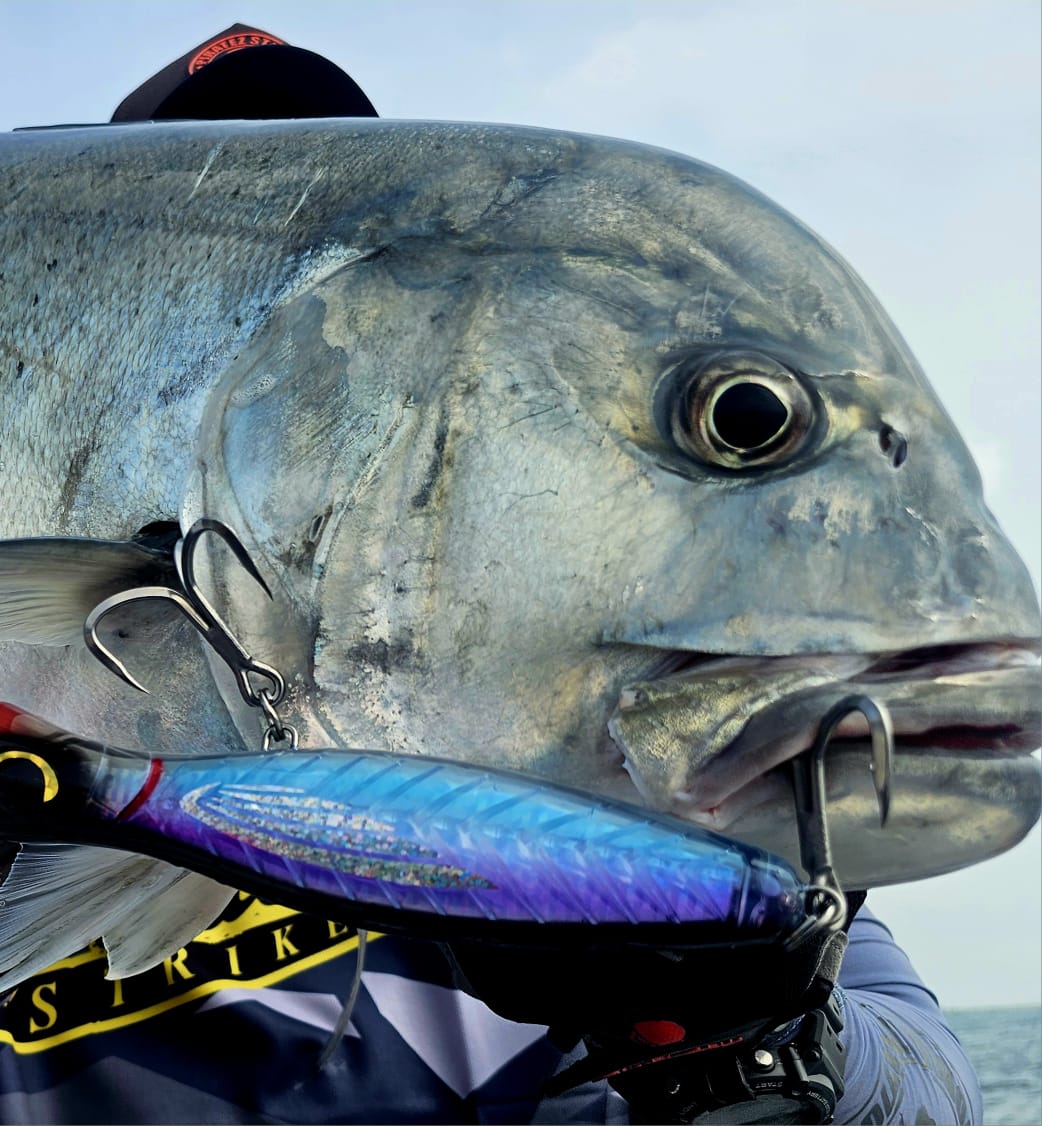 Palmarius Exploder 180mm Popper (Floating)