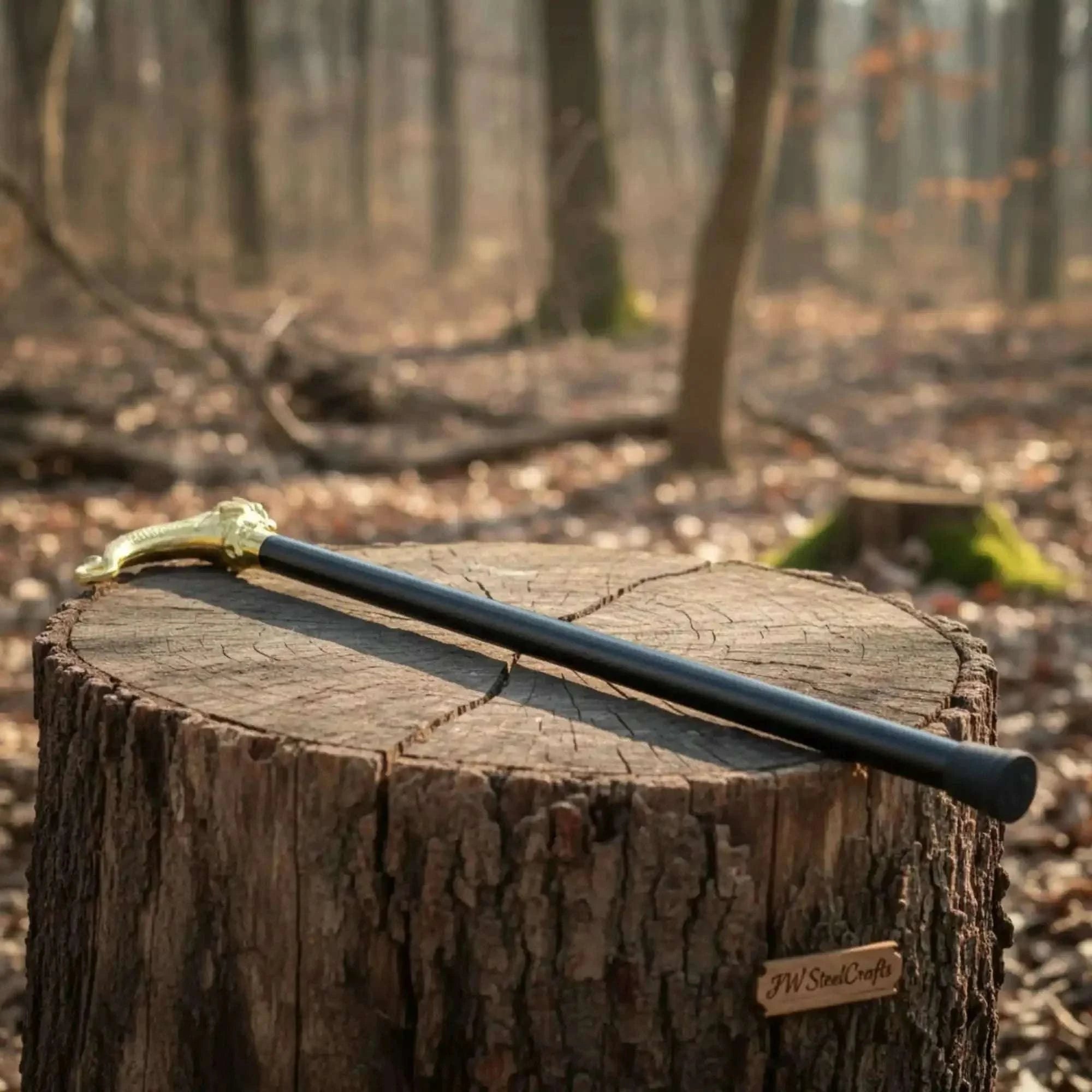 Palmarius Outdoors Handmade Pirate Officer Sword with Ornate Dragon Handle Sword