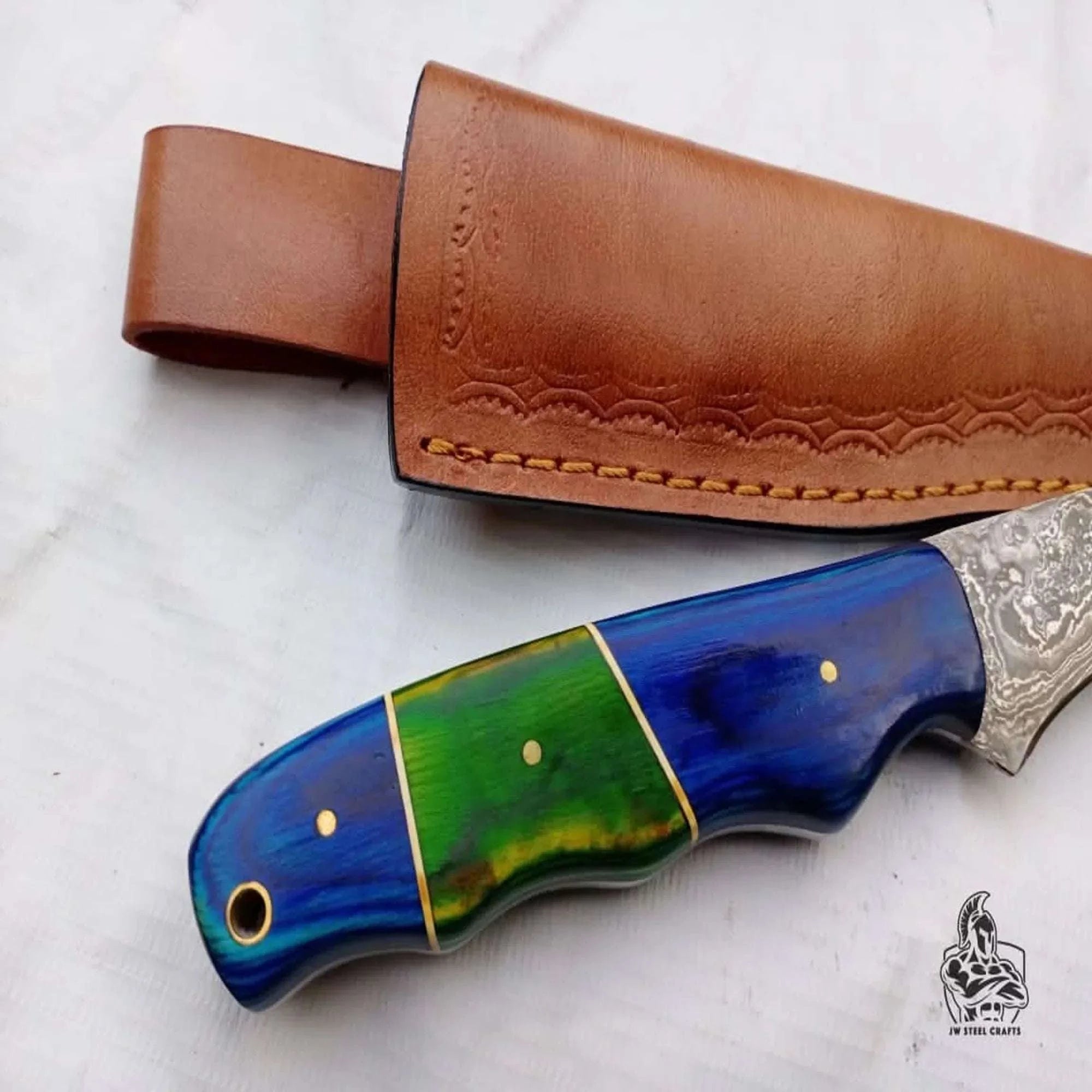 Palmarius Outdoors Handmade Damascus Fillet Knife – 10 Inch Overall, 5 Inch Precision Fish Filleting Blade with Colored Wood Handle, Full Tang Fishing Knife with Leather Sheath, JW SteelCrafts Handmade Fillet Knives