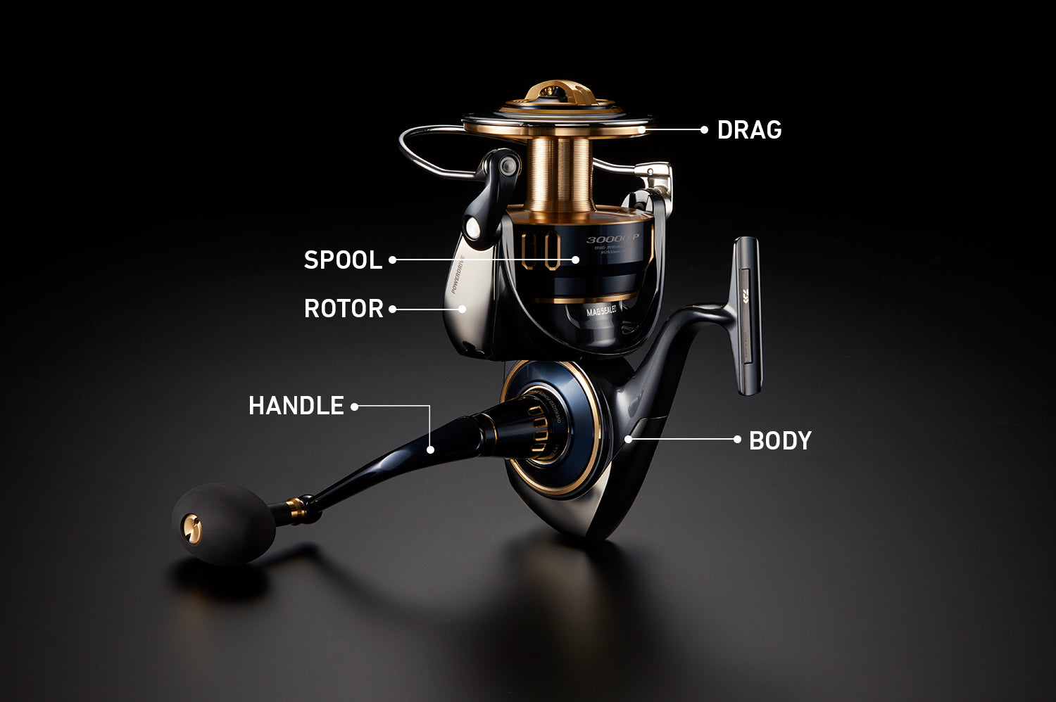GOMEXUS SALTIGA SPECIAL COLOR 両軸リール 25 SALTIGA 30000 Spinning Pre-Order