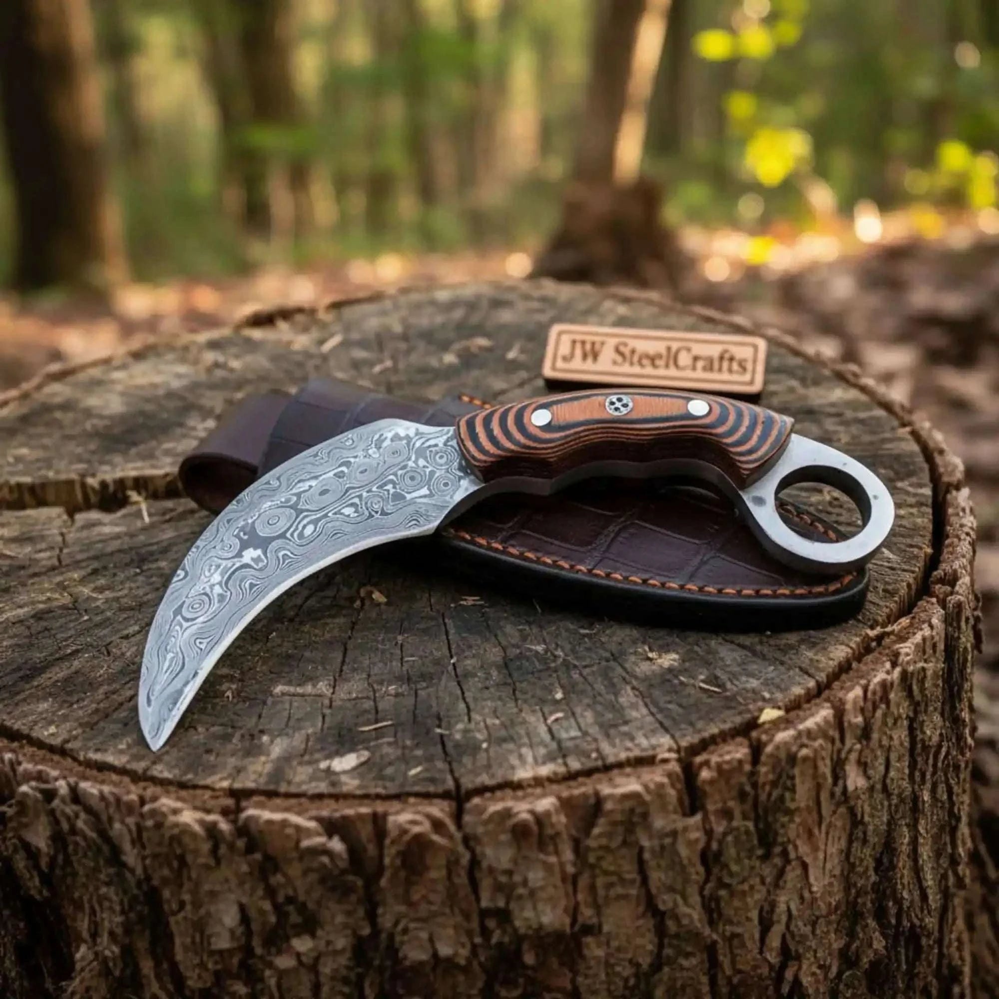 Palmarius Outdoors Handmade Damascus Karambit Knife with Multi-Color Micarta Handle 