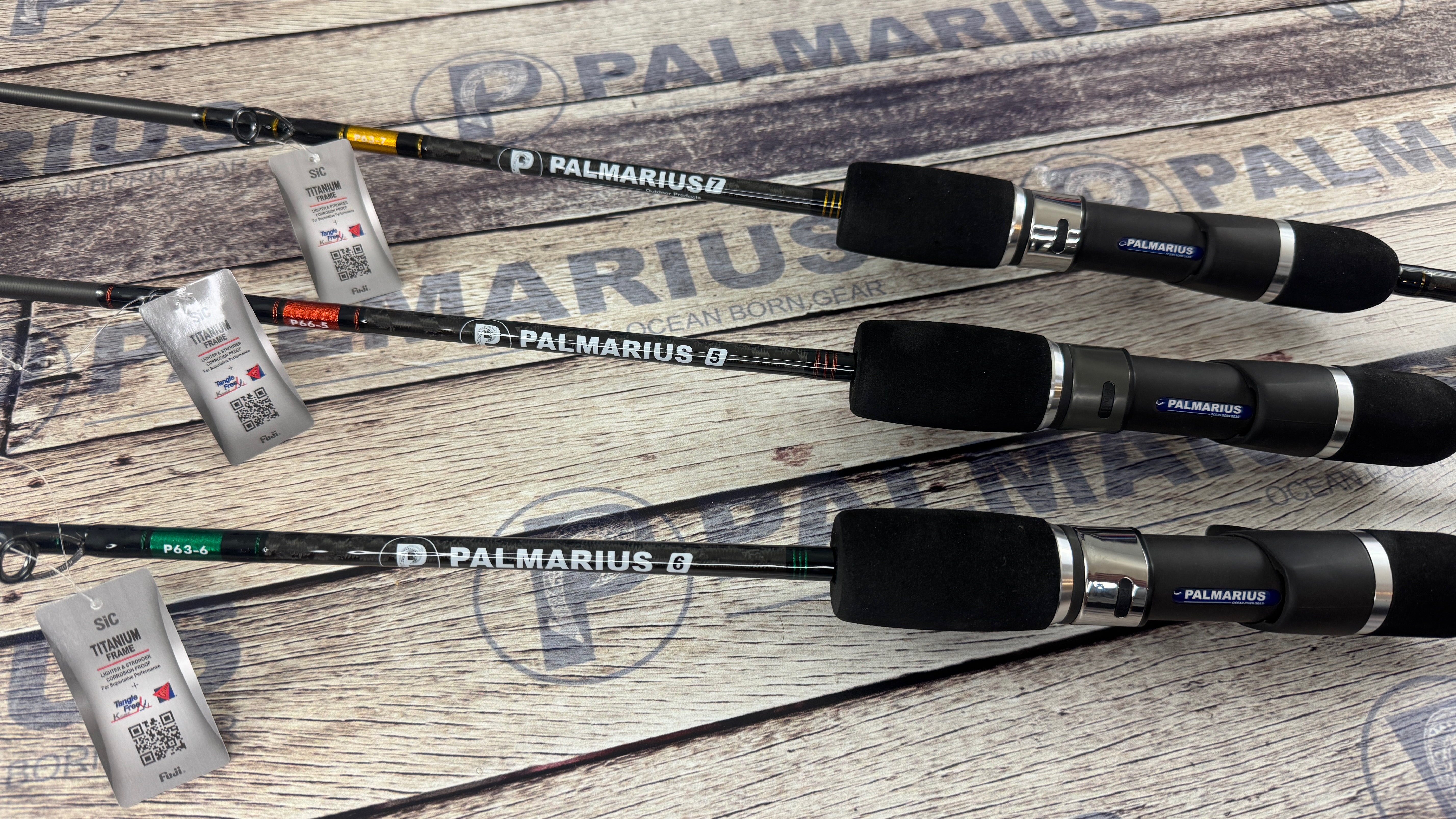 Palmarius P+ Gen II 2025 Titanium Black EVA Series