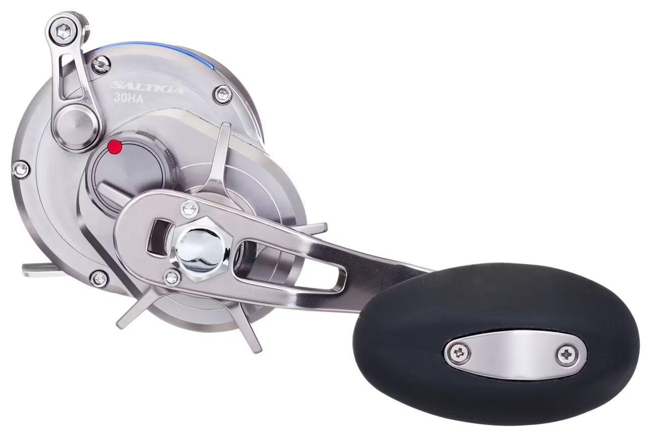 Daiwa Saltiga Star Drag Conventional (Silver models)