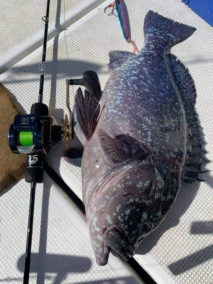 Sea Floor Control Rod Baitcast Jam Rod 1.5 Force (7107 Sea Floor Control Rod Baitcast Jam Rod 1.5 Force (7107