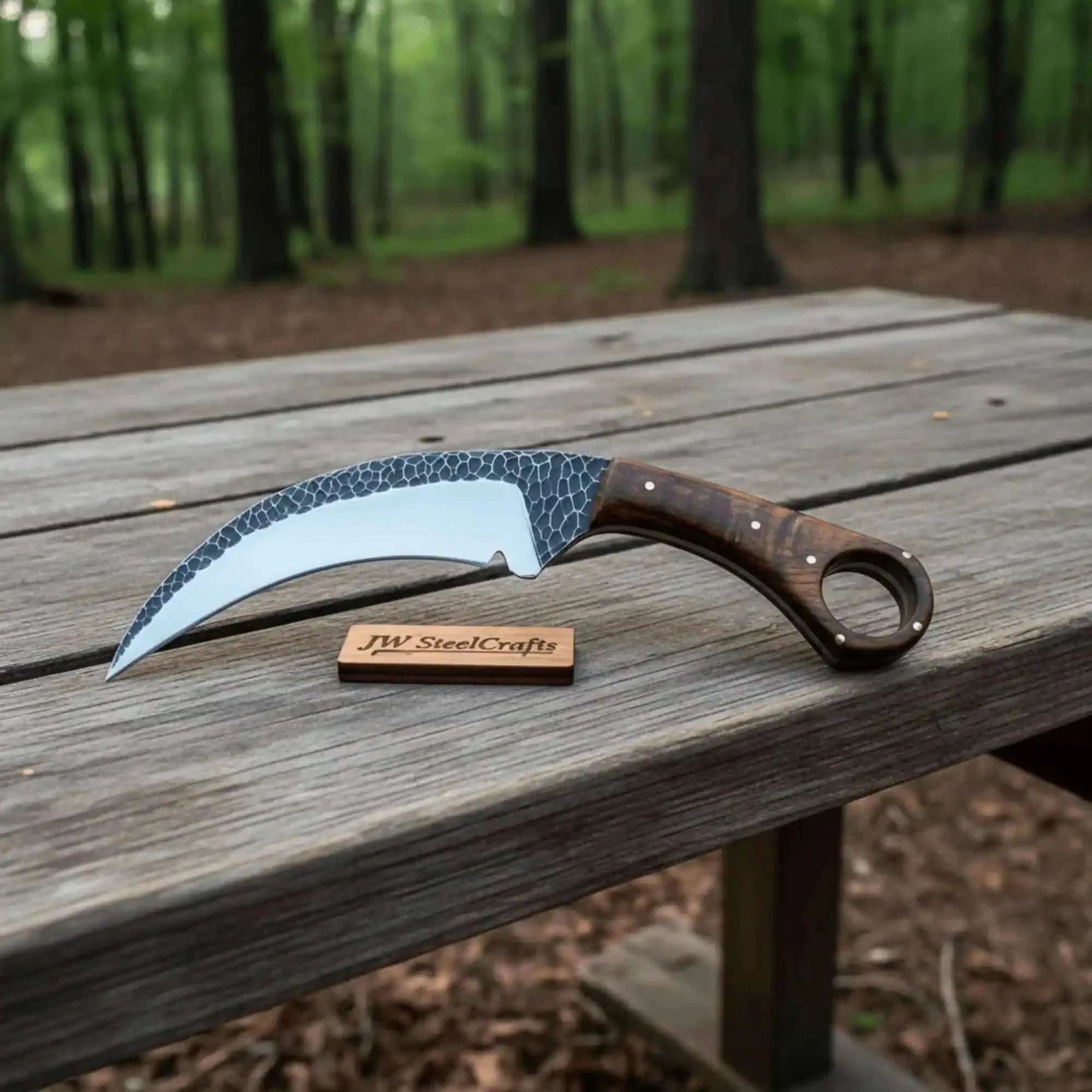 Palmarius Outdoors Custom Handmade Karambit knife/fighting knife Karambit Knife
