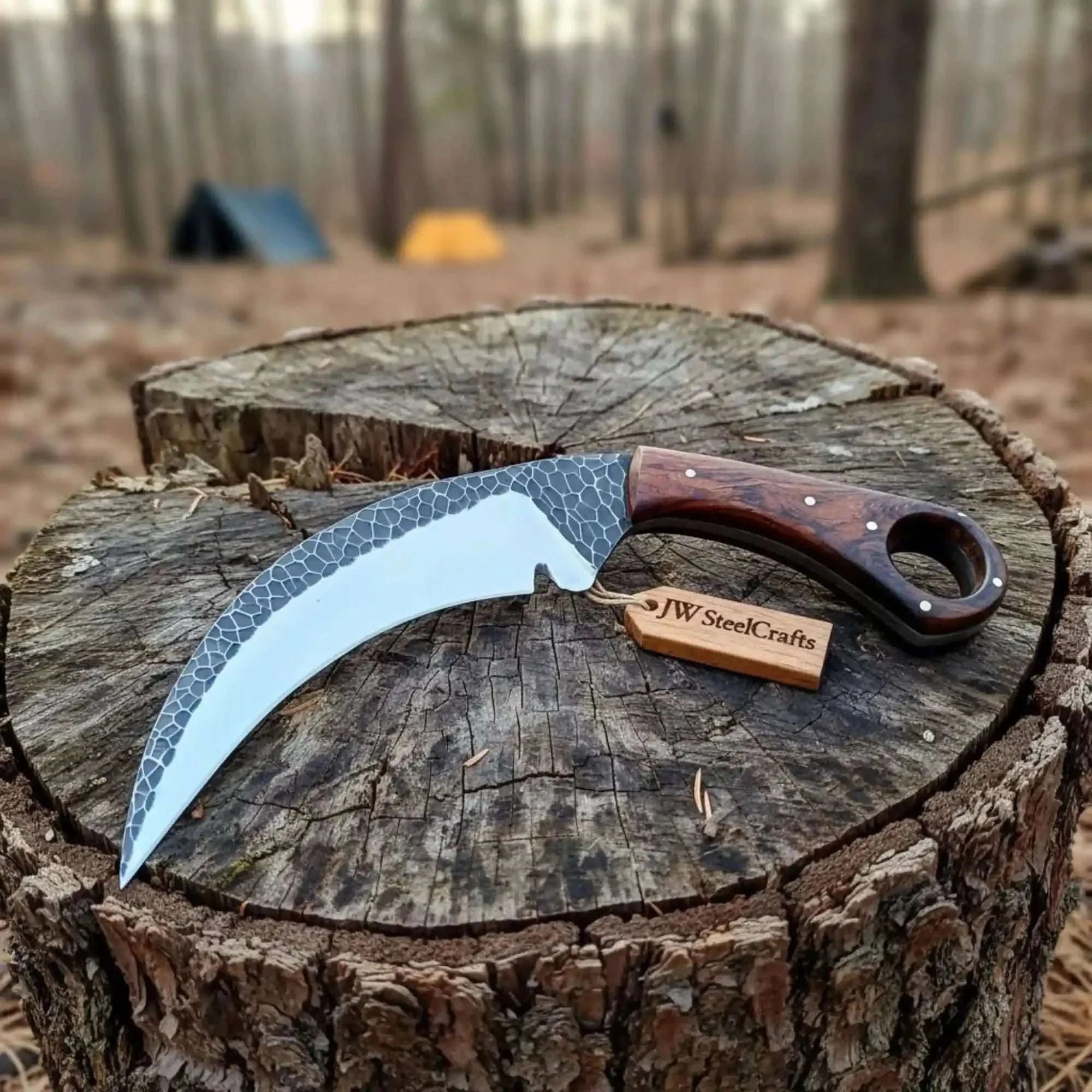 Palmarius Outdoors Custom Handmade Karambit knife/fighting knife Karambit Knife