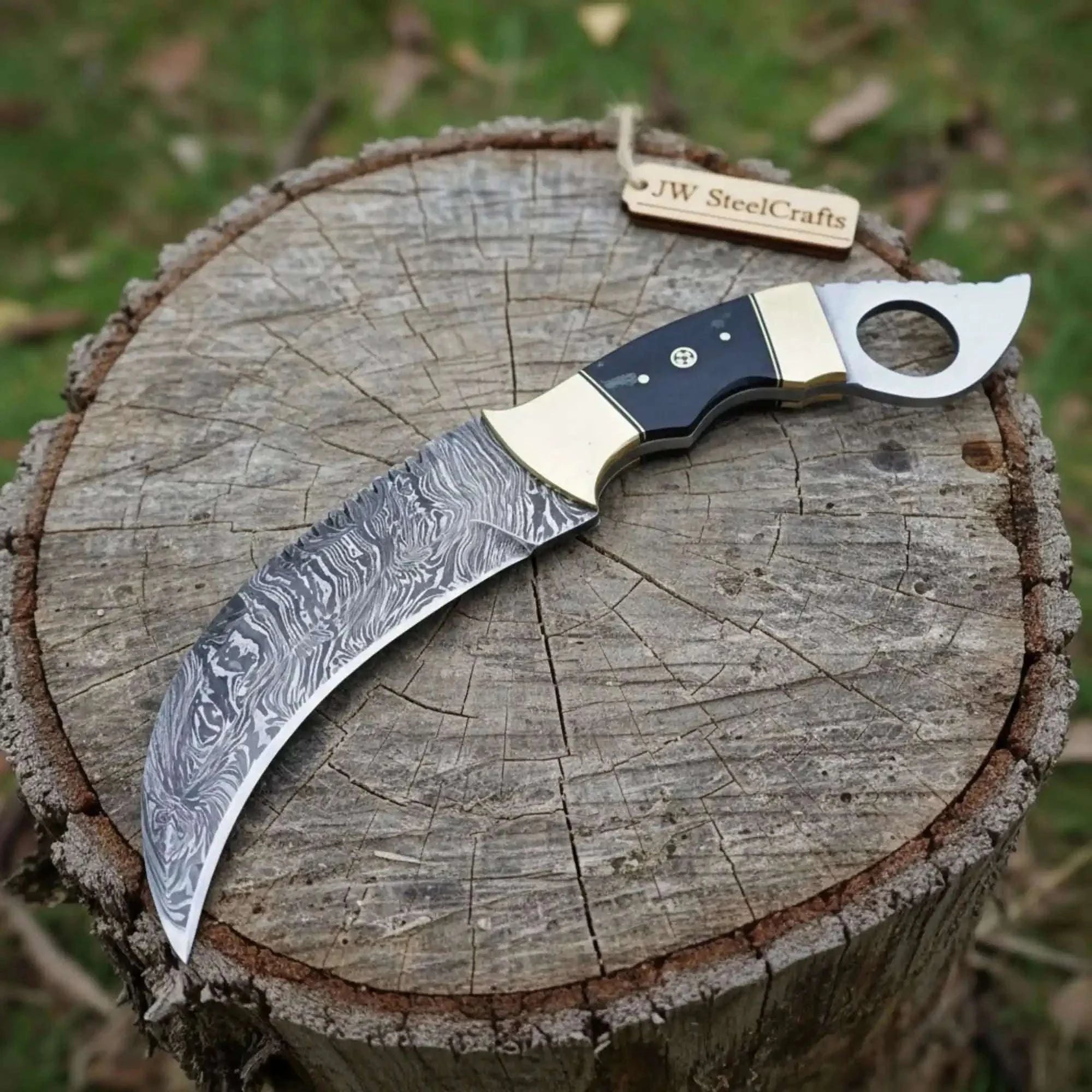 Palmarius Outdoors Damascus Steel Karambit 5 Inch Curved Blade Durable Full Tang Design Karambit Knife