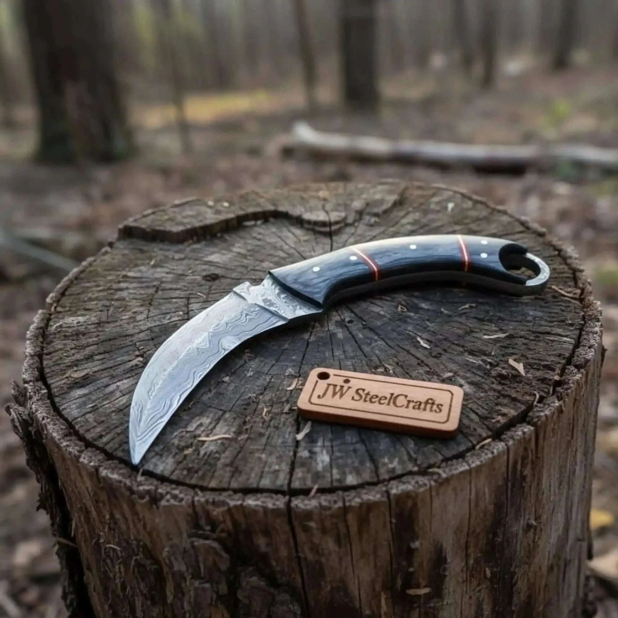 Palmarius Outdoors Hand Forged Karambit Knife By JW Steel Crafts karambit knife