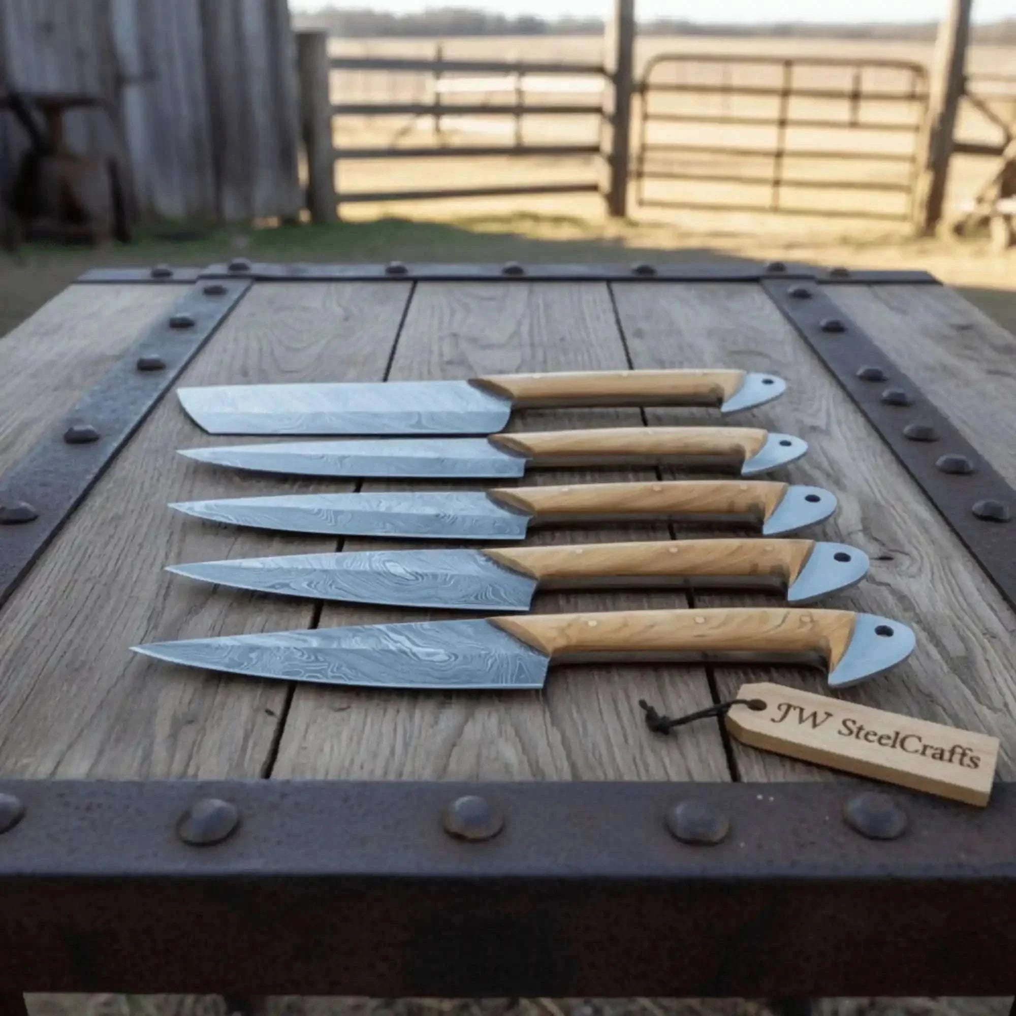 Palmarius Outdoors Damascus Kitchen Knife Set of 4 - Hand-Forged Full Tang Blades Handmade Chef Knife Sets