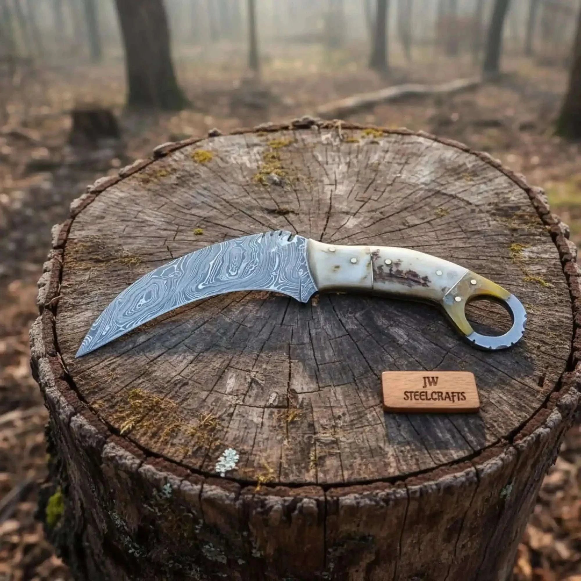 Palmarius Outdoors Handmade Custom Du Hoc Karambit Knife. karambit knife