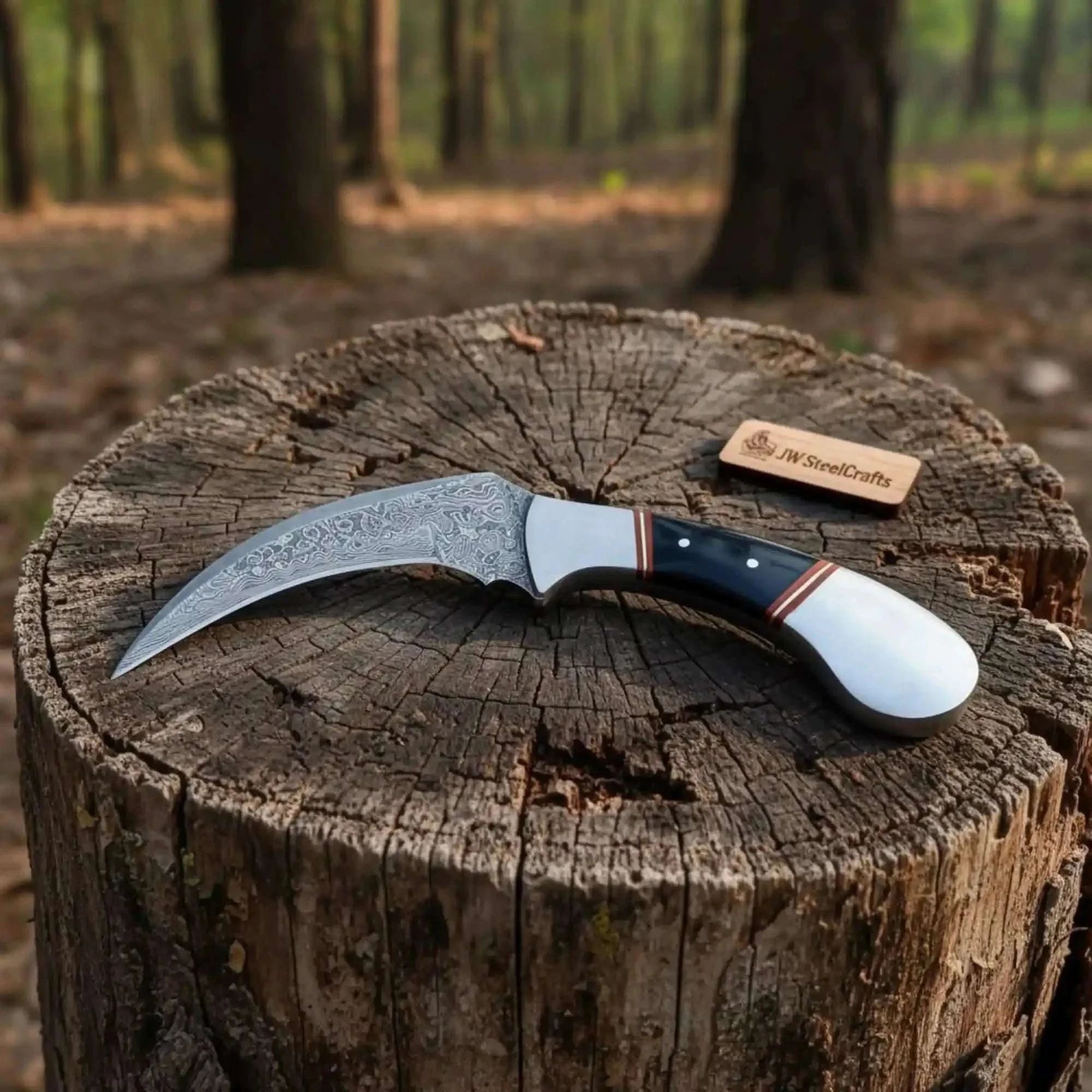 Palmarius Outdoors Karambit Knife with Black horn and Stainless steel handle. karambit knfie