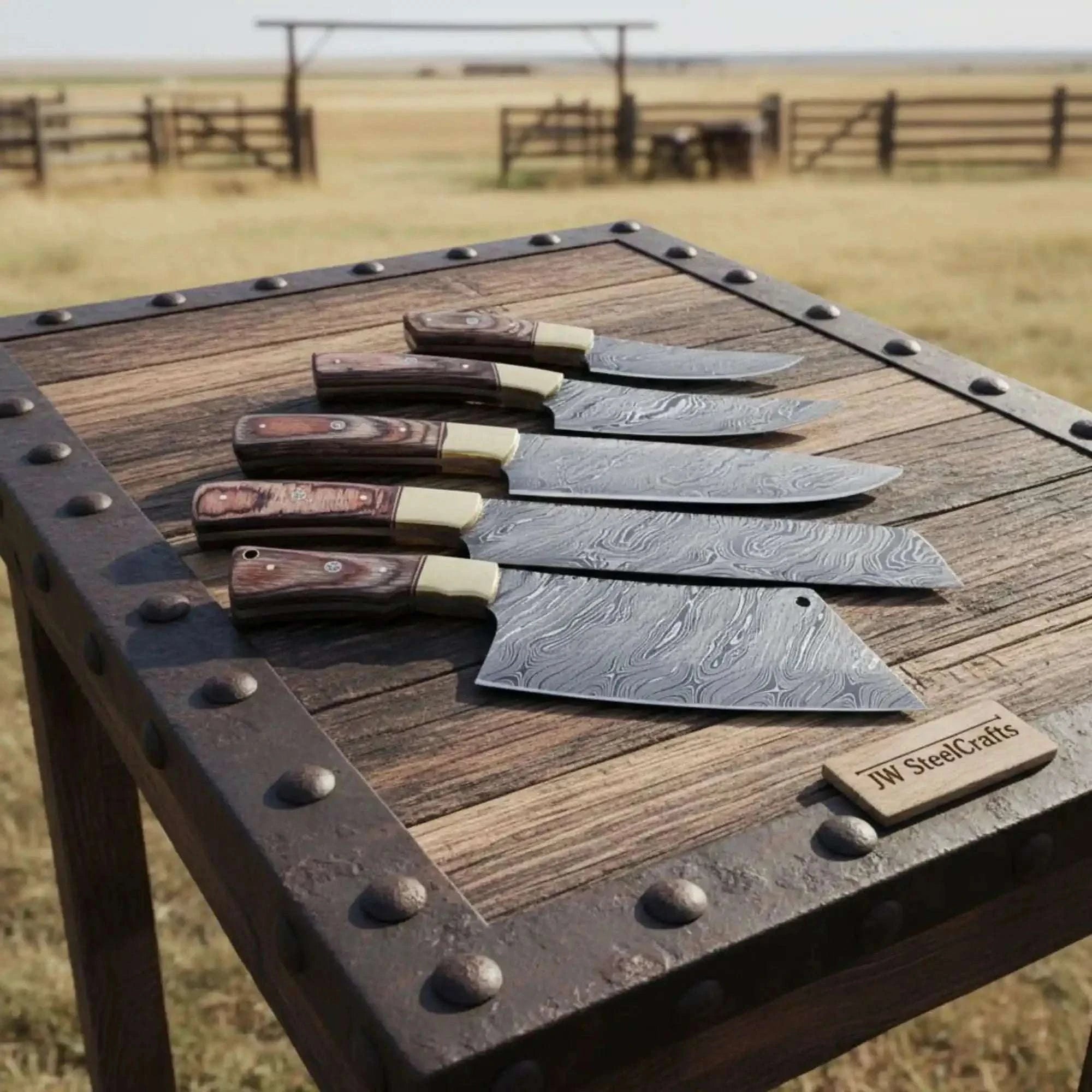 Palmarius Outdoors Handmade Damascus Kitchen Knife Set of 5 with Full Tang Wood Handles Handmade Chef Knife Sets