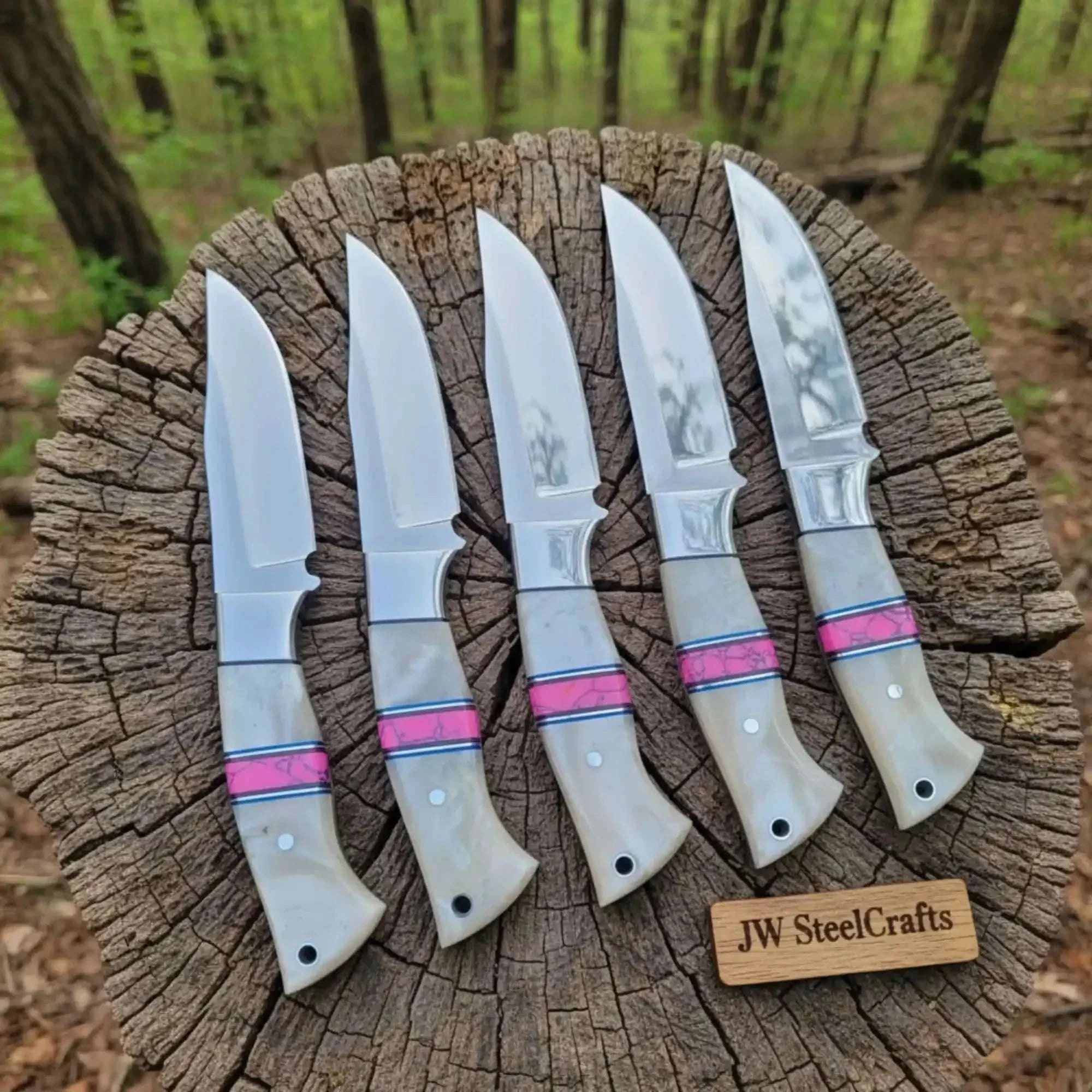 Palmarius Outdoors 5-Piece Resin Hunting Knife Set with Cream Resin & Pink Turquoise Handles Hunting Knife