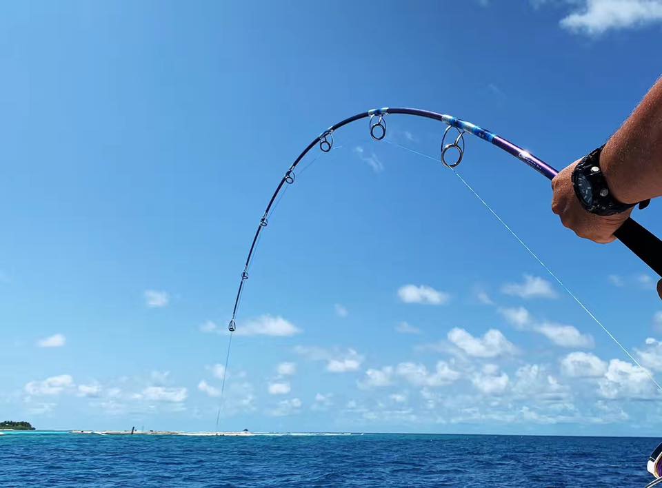 Ocean-GT Popping Rods