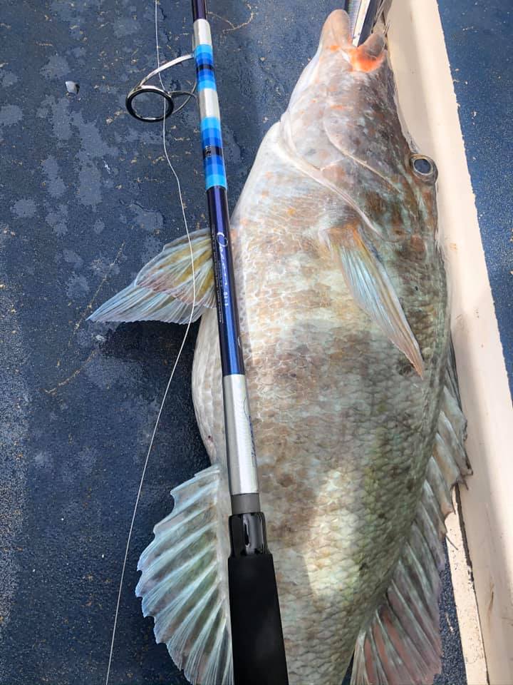 Ocean-GT Popping Rods