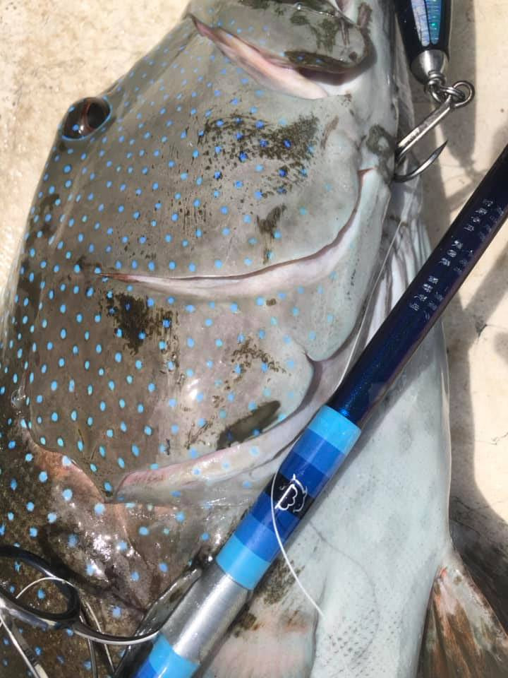Ocean-GT Popping Rods
